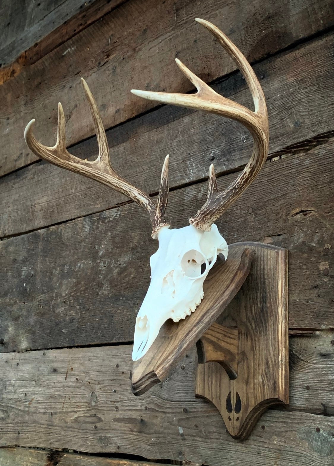 Euro Mount Pedestal