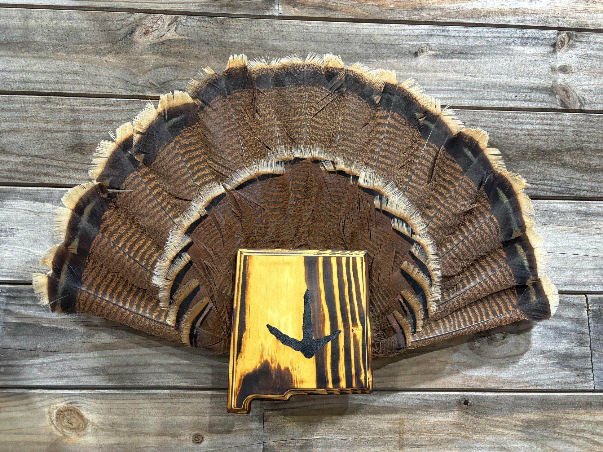 New Mexico Turkey Fan Plaque