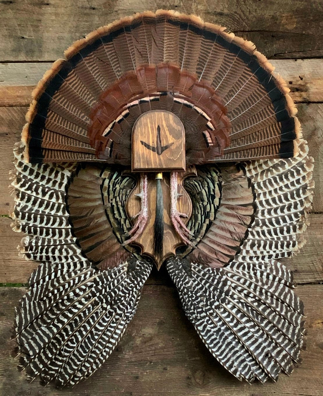 Turkey Fan & Wing Plaque