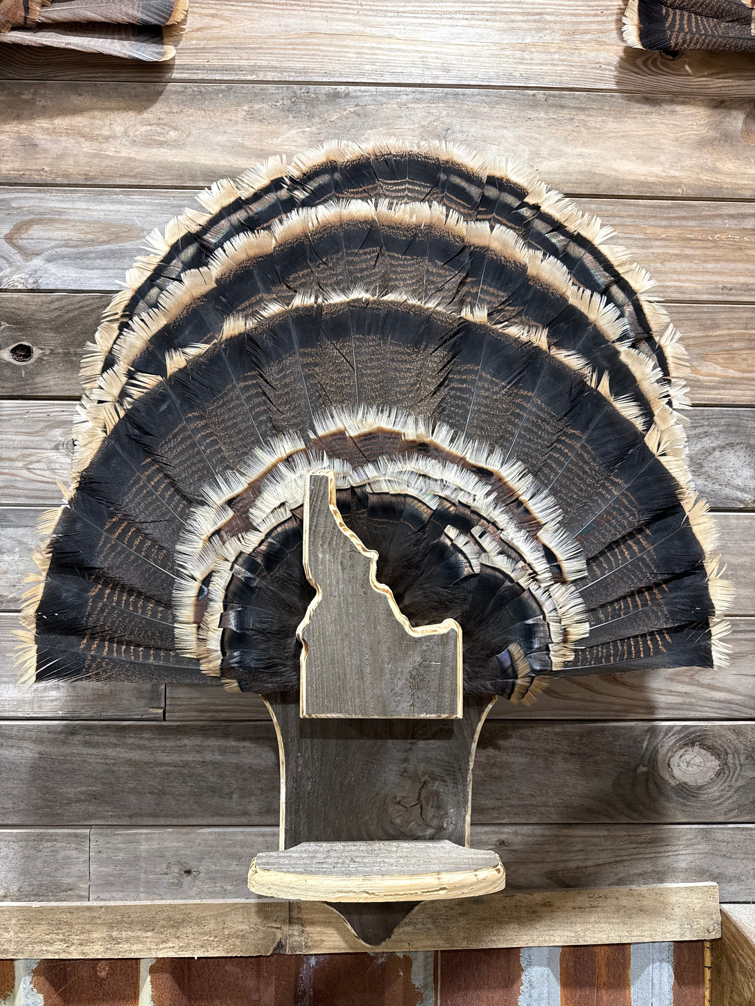 Multiple Beard Holder - 7 Beards