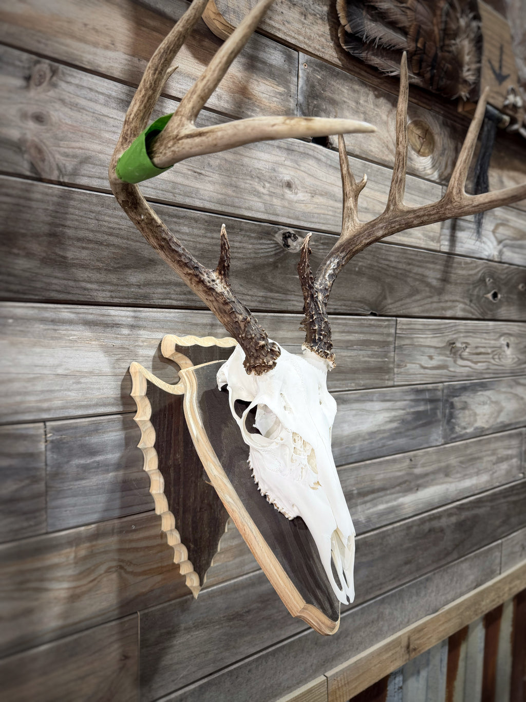 Arrowhead Wall Pedestal