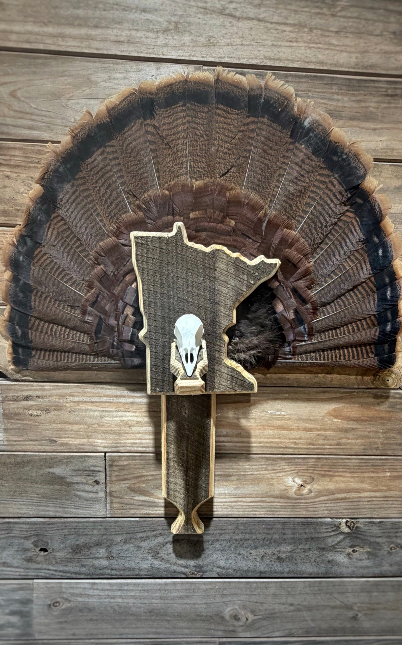 Turkey Fan & Wing Mount (Any State)(Replica Skull)