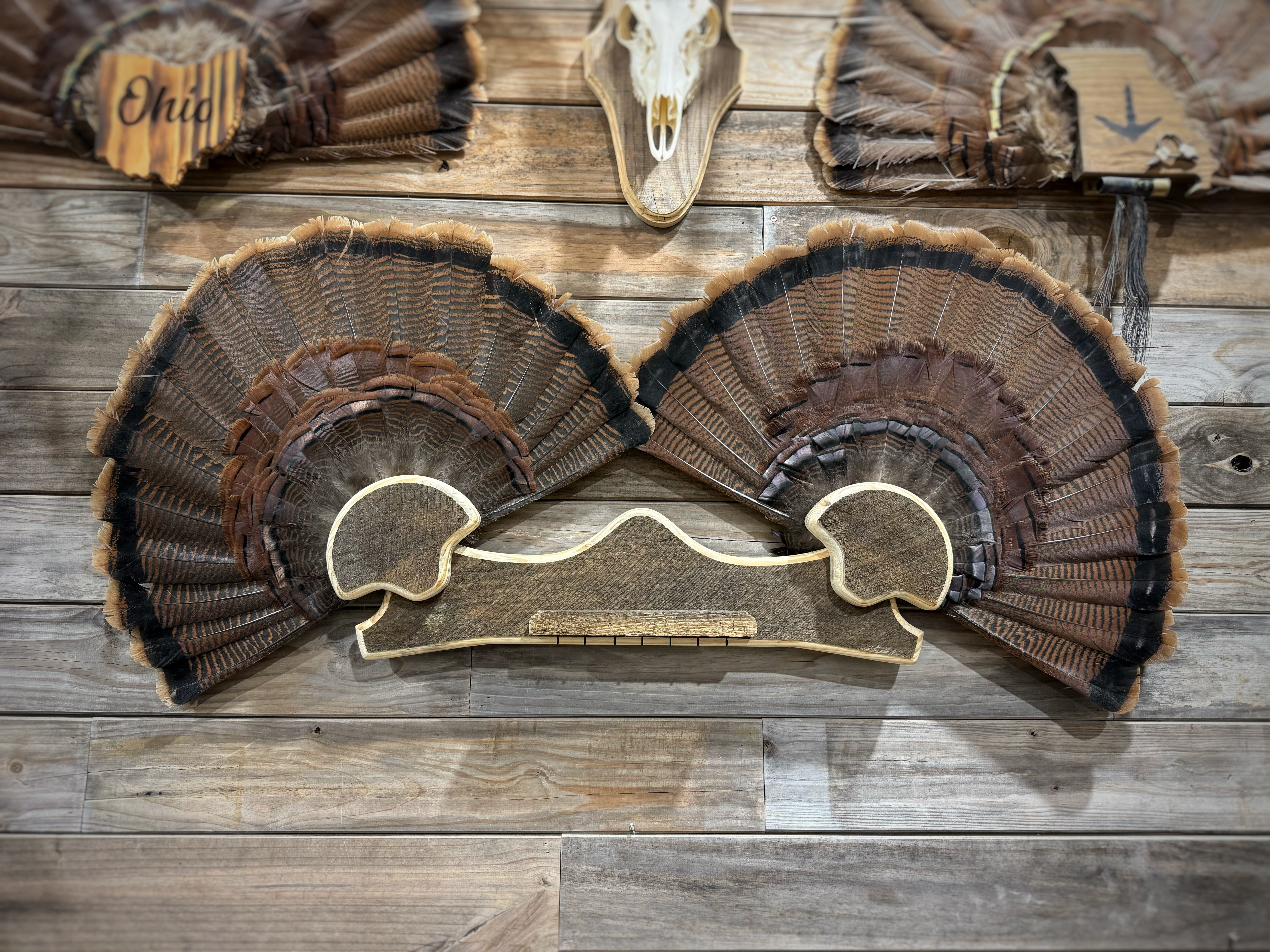 Double Fan Mount (w. Shelf & 7 beard/spur hooks)