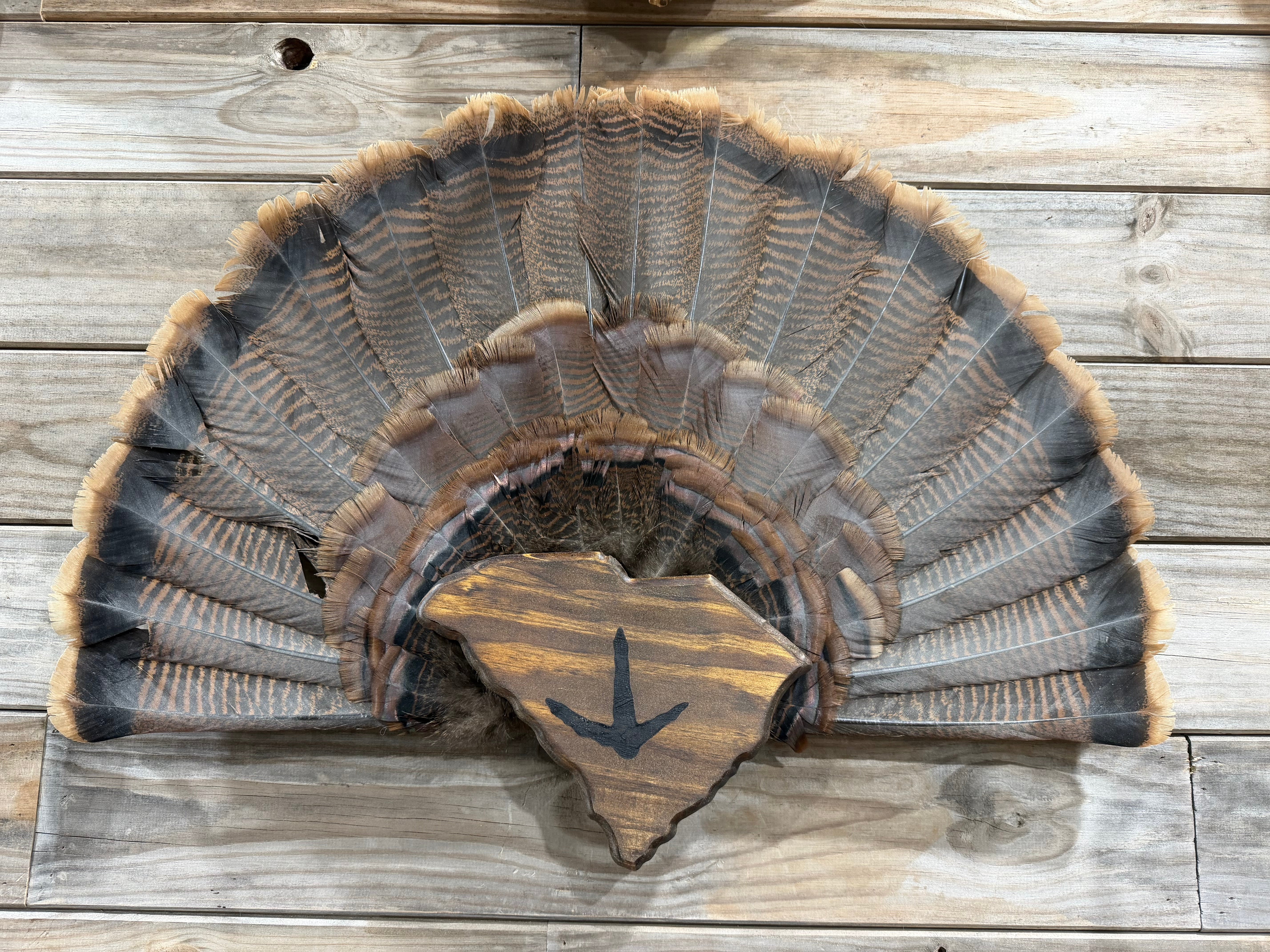 South Carolina Turkey Fan Plaque