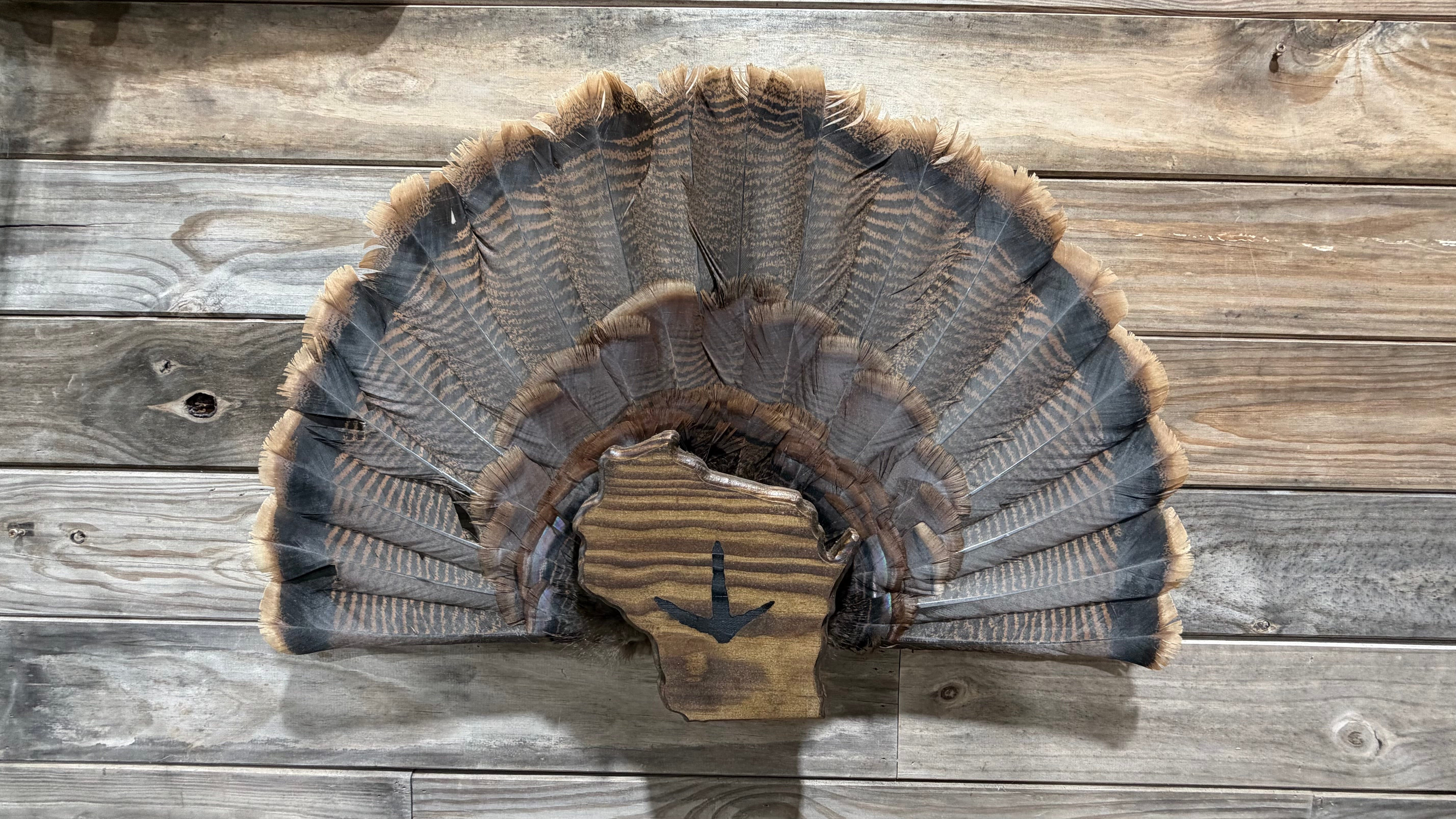 Wisconsin Turkey Fan Plaque