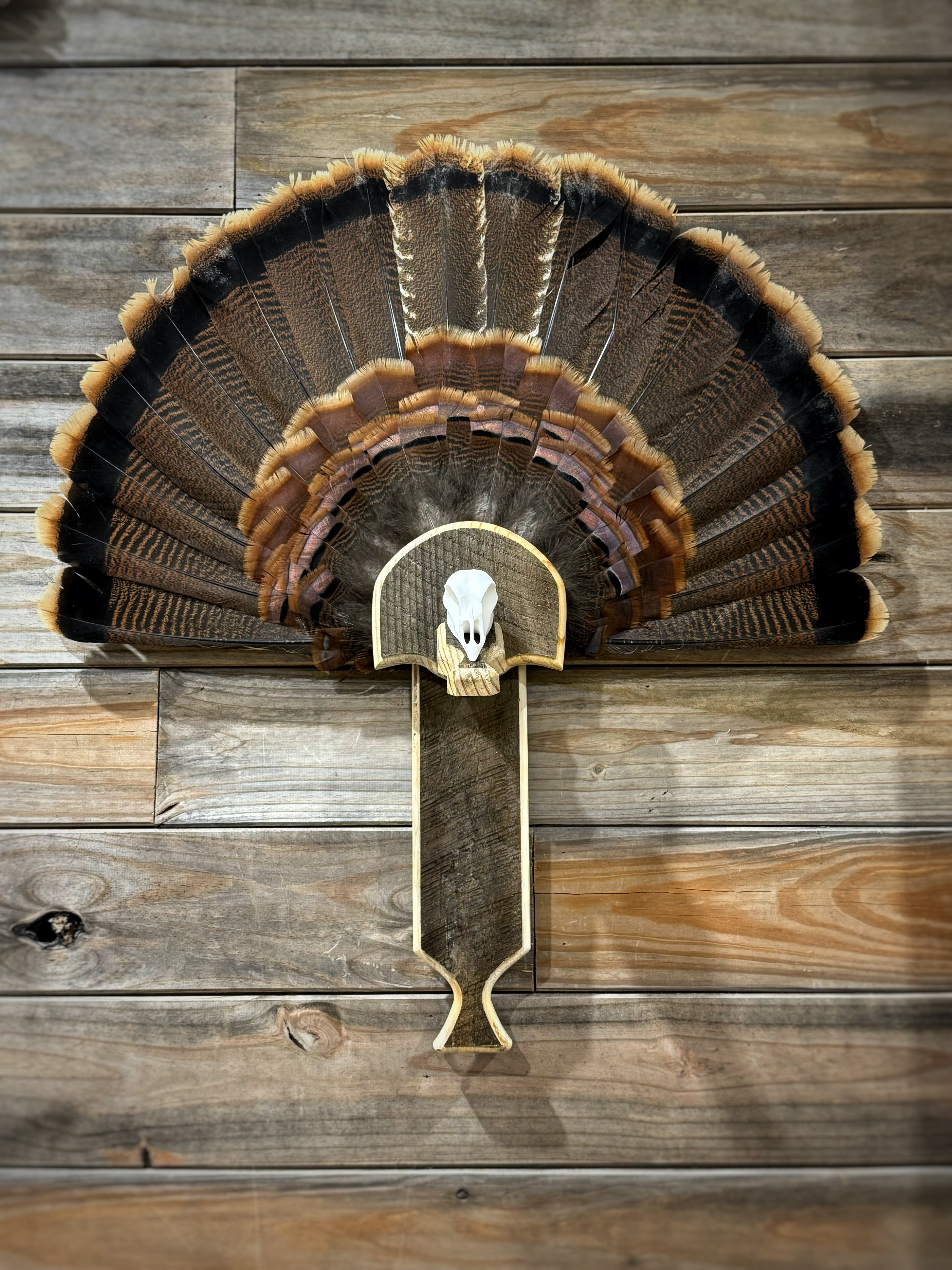 Turkey Fan Plaque Box Call