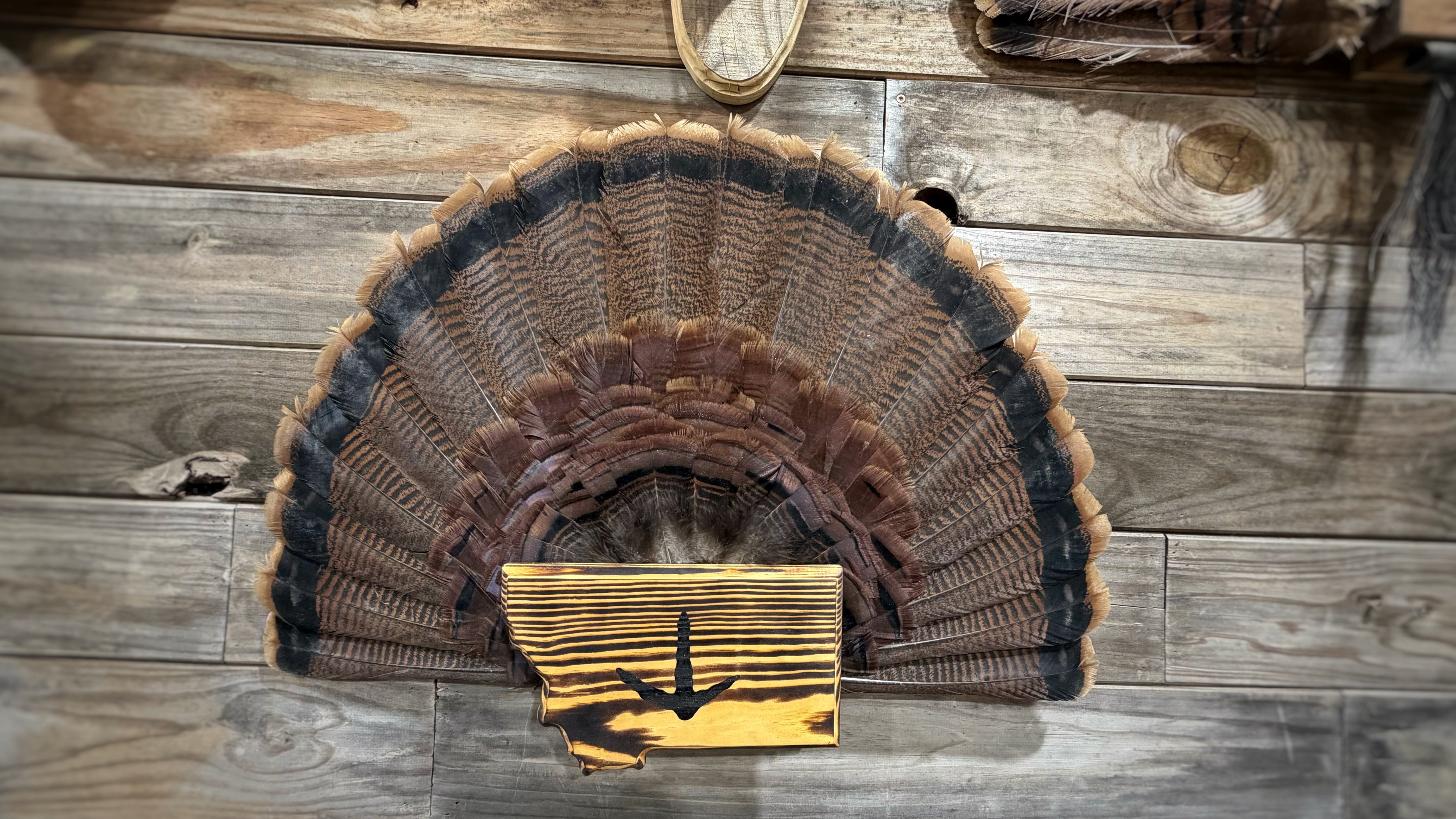 Montana Turkey Fan Plaque