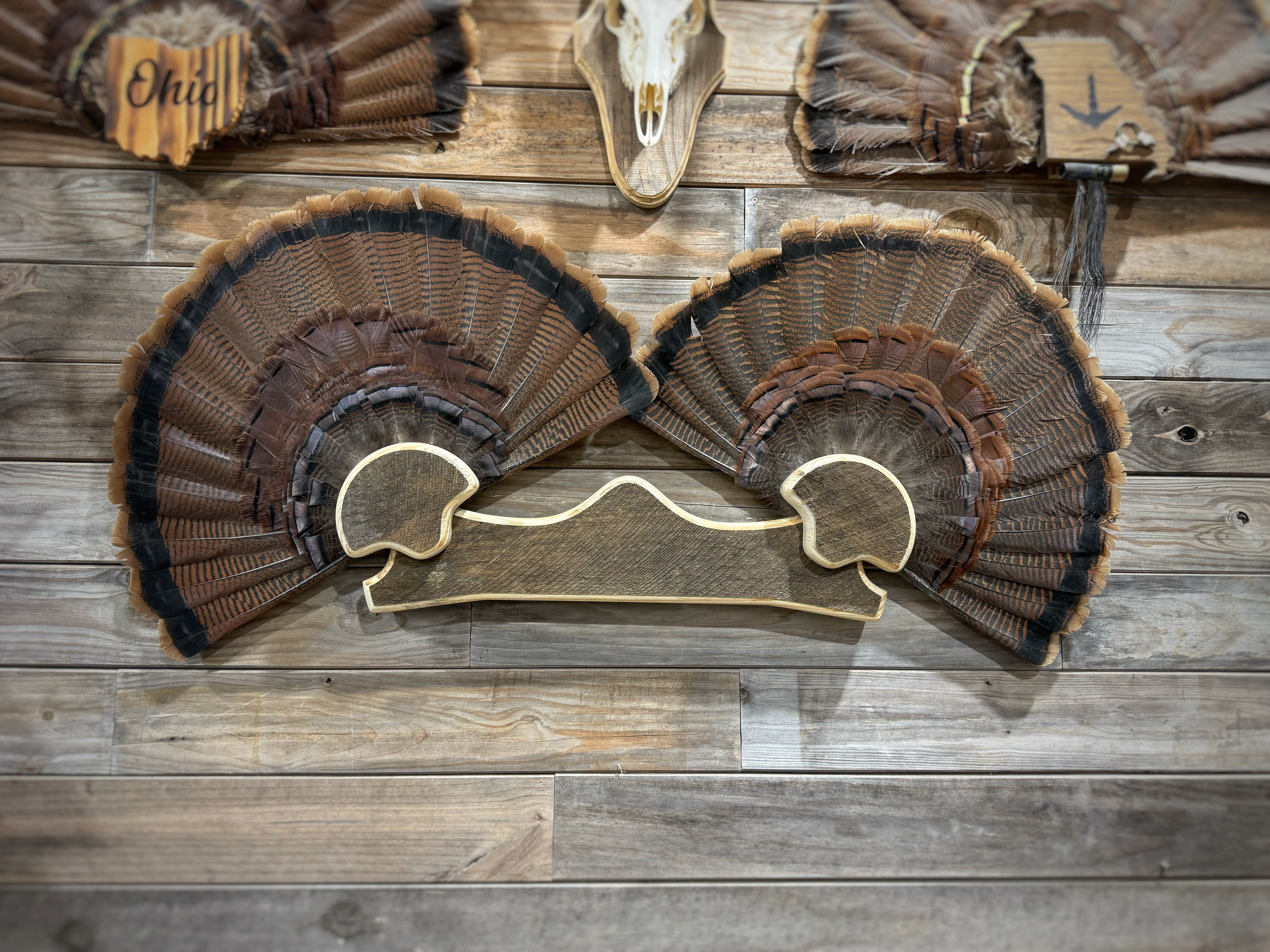 Double Fan Mount (w. Shelf & 7 beard/spur hooks)