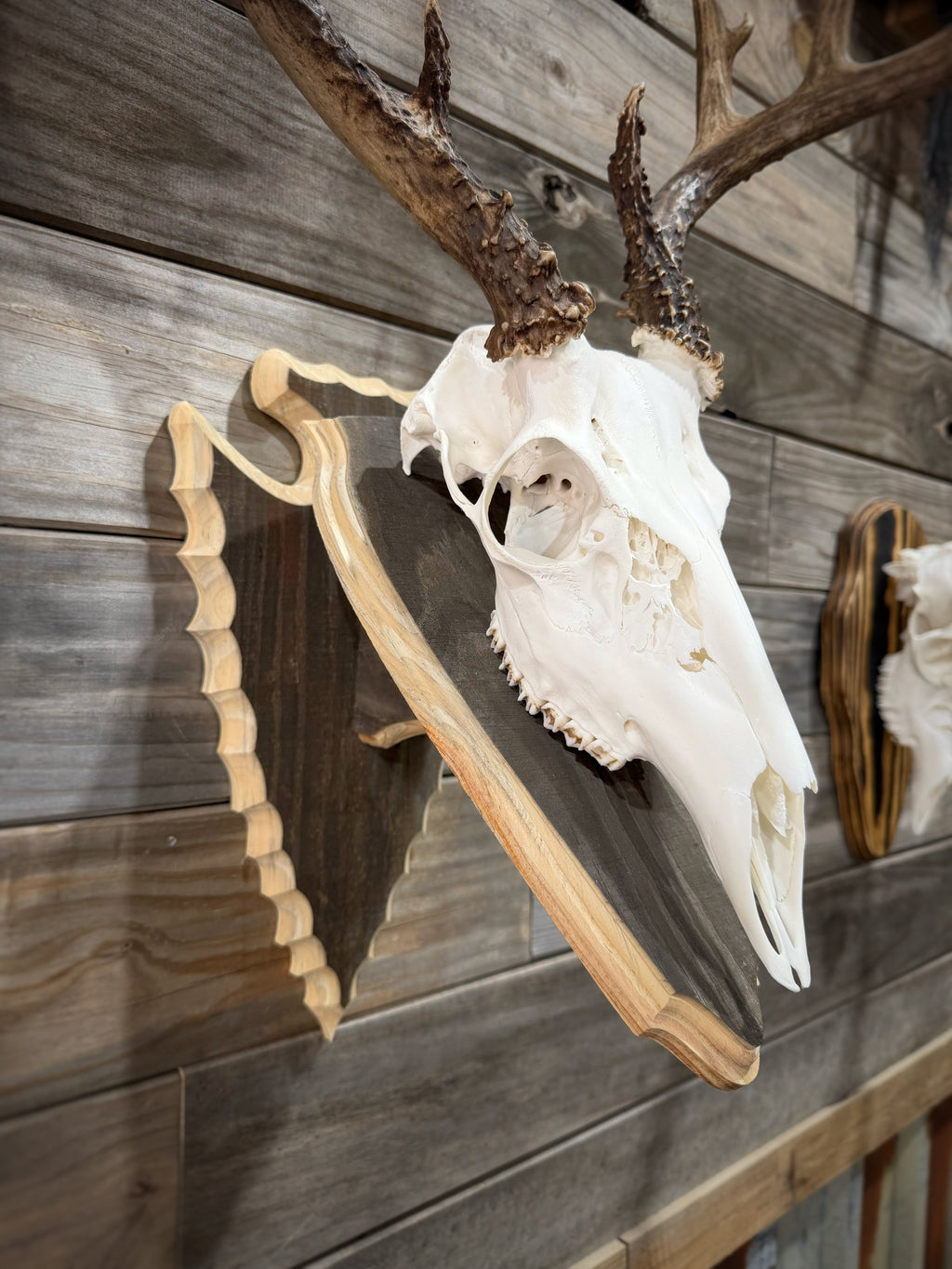 Arrowhead Wall Pedestal