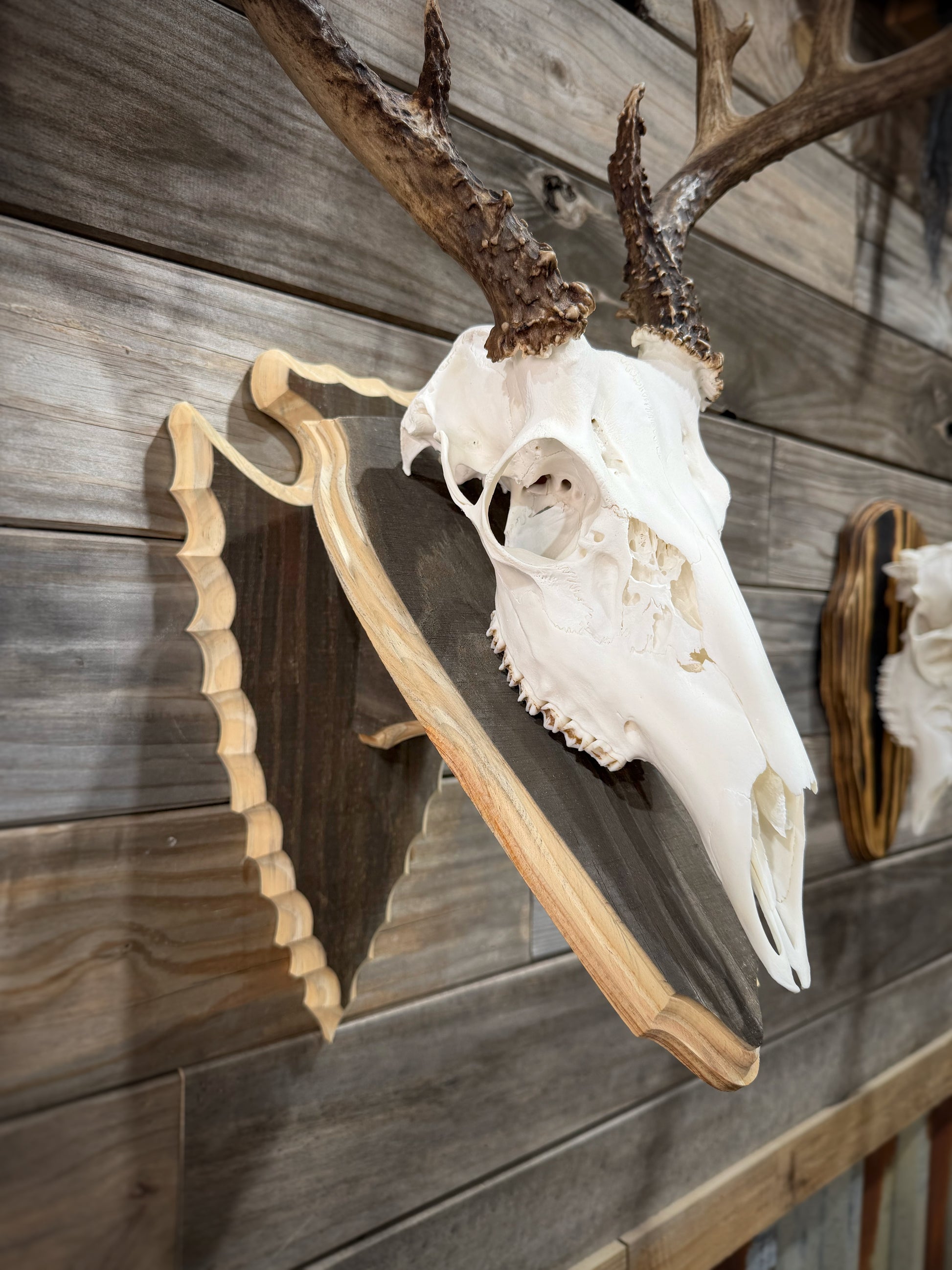 Arrowhead Wall Pedestal