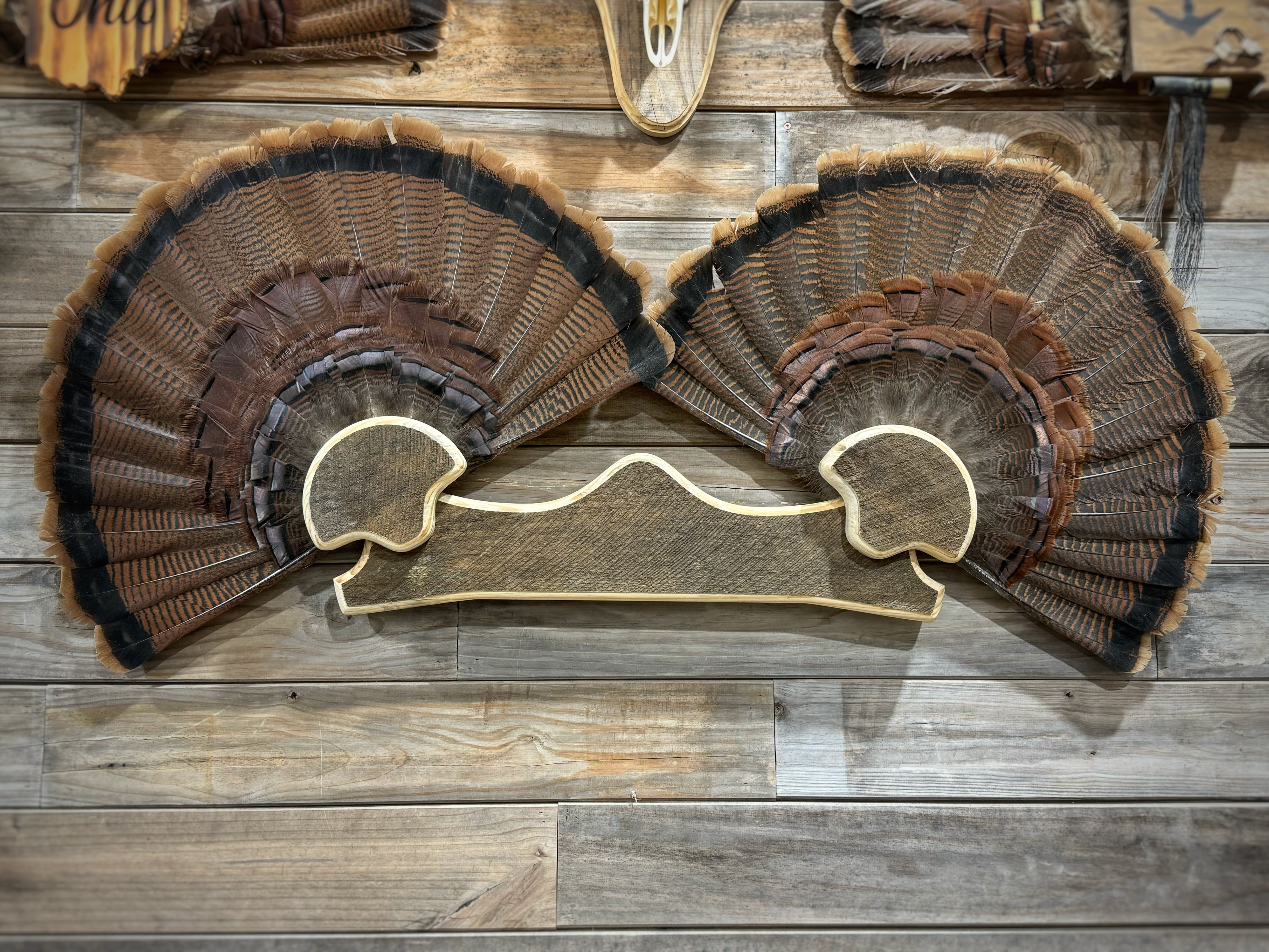 Double Fan Mount (w. Shelf & 7 beard/spur hooks)
