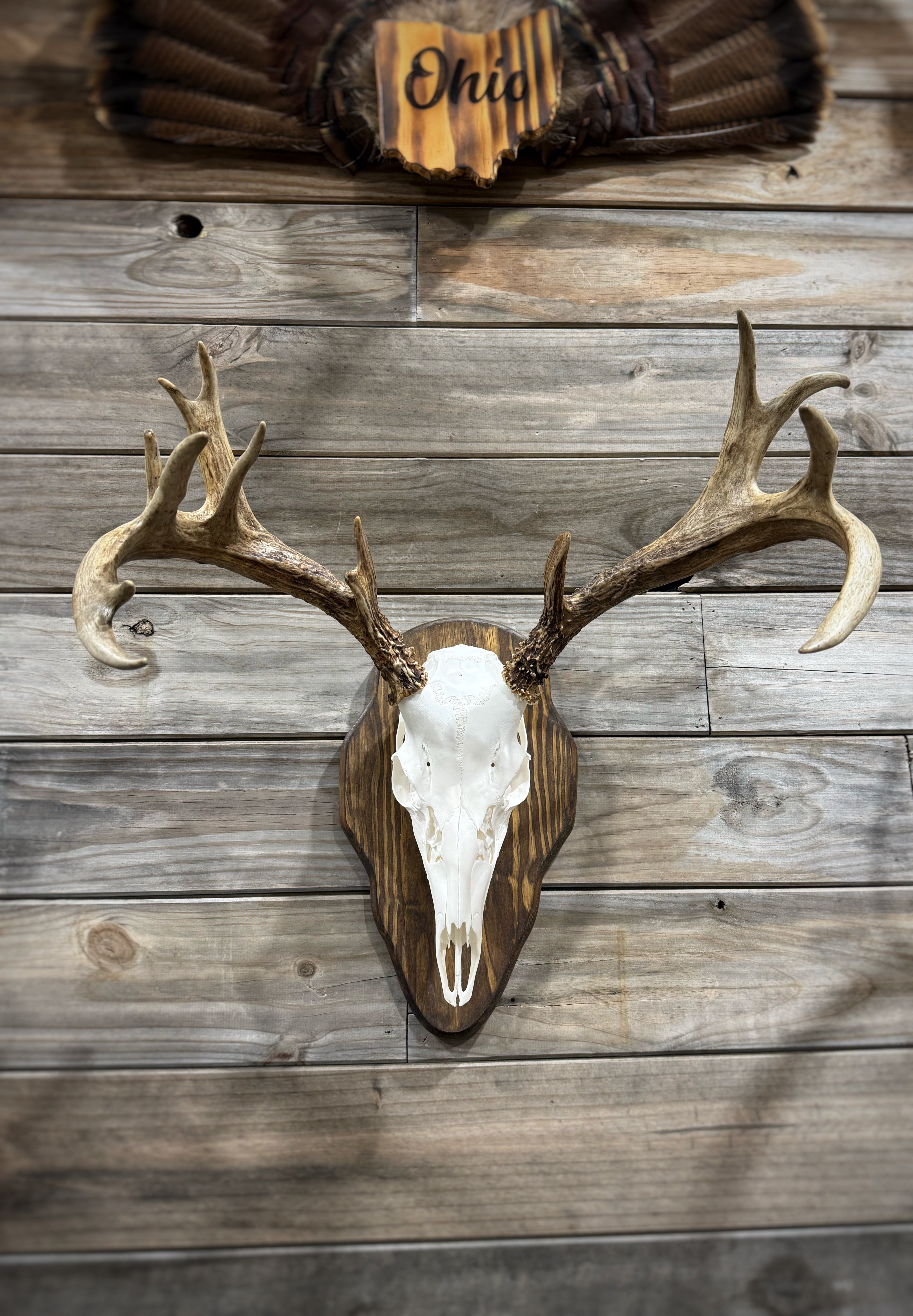 Barnwood European Plaque (Burnt Edges) (Rounded)