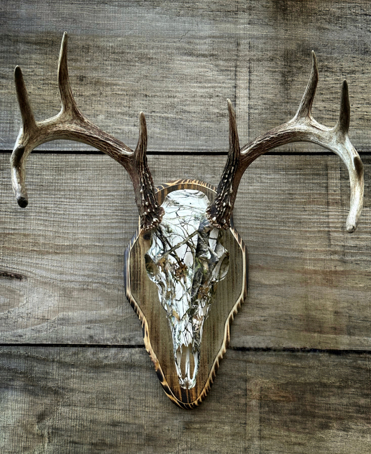 Barnwood European Plaque (Burnt Edges) (Rounded)