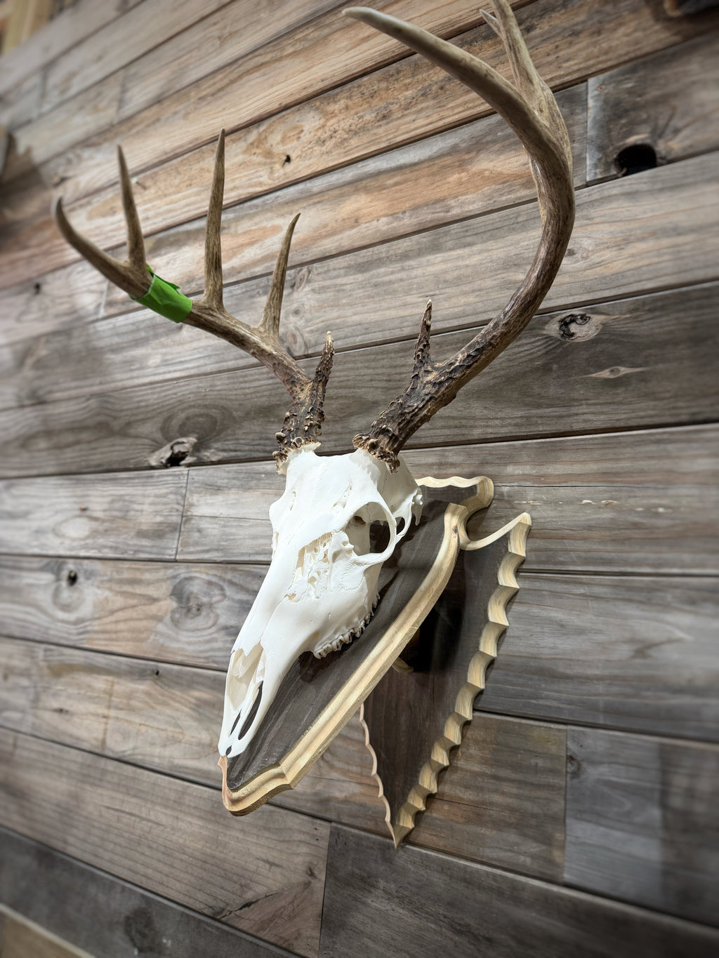 Arrowhead Wall Pedestal