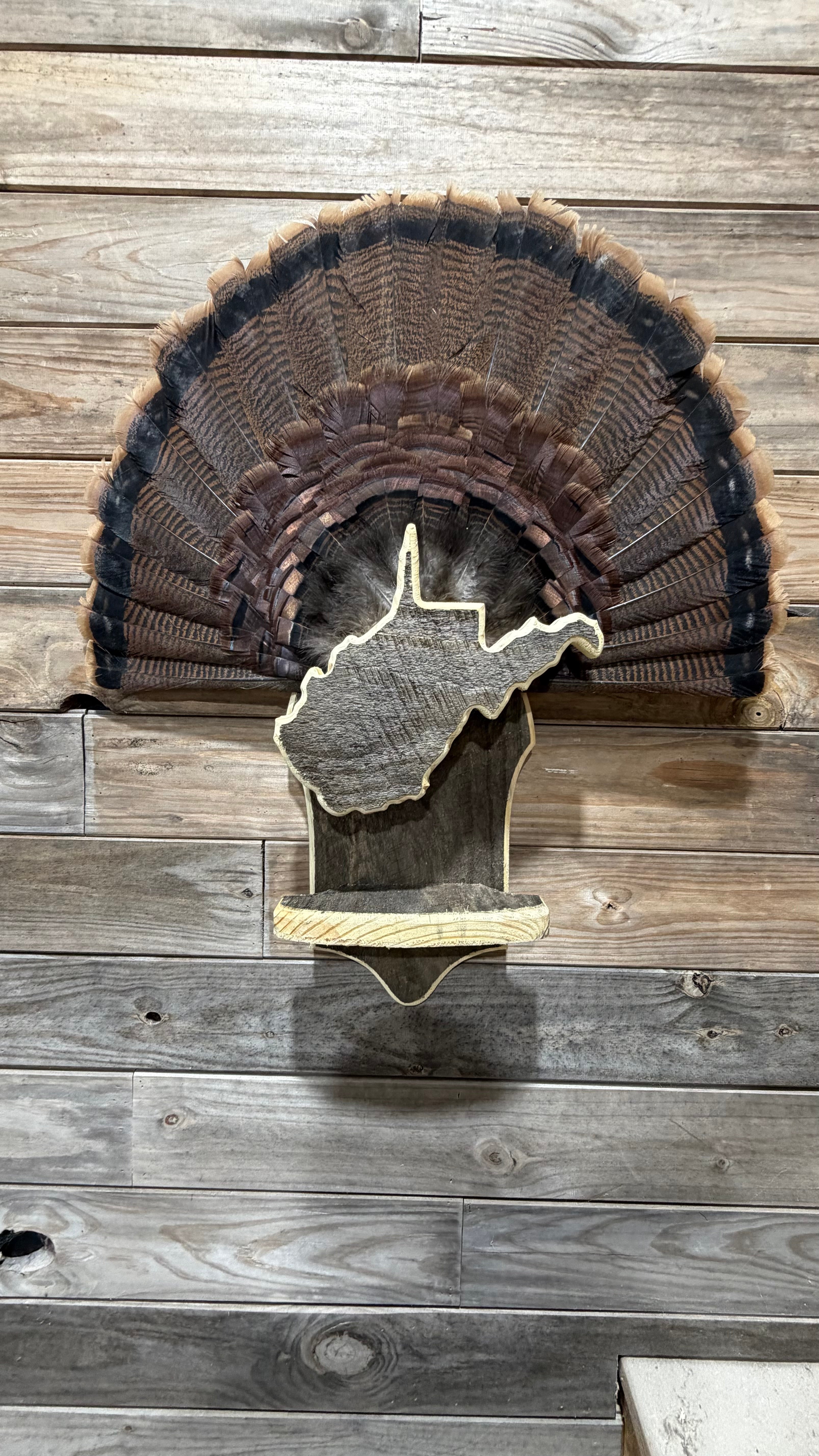 Multiple Beard Holder - 7 Beards