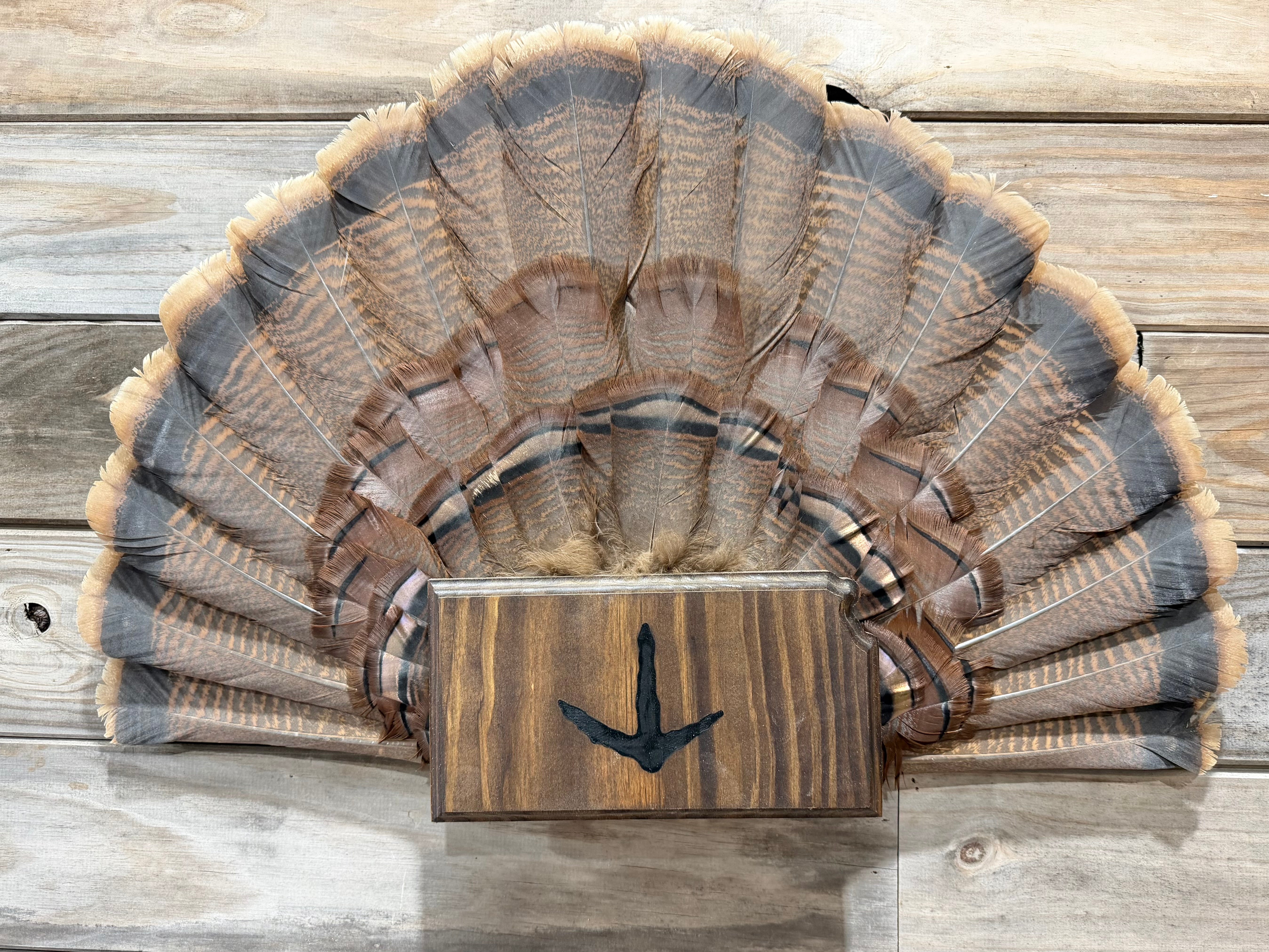 Kansas Turkey Fan Plaque – TDT Mounts