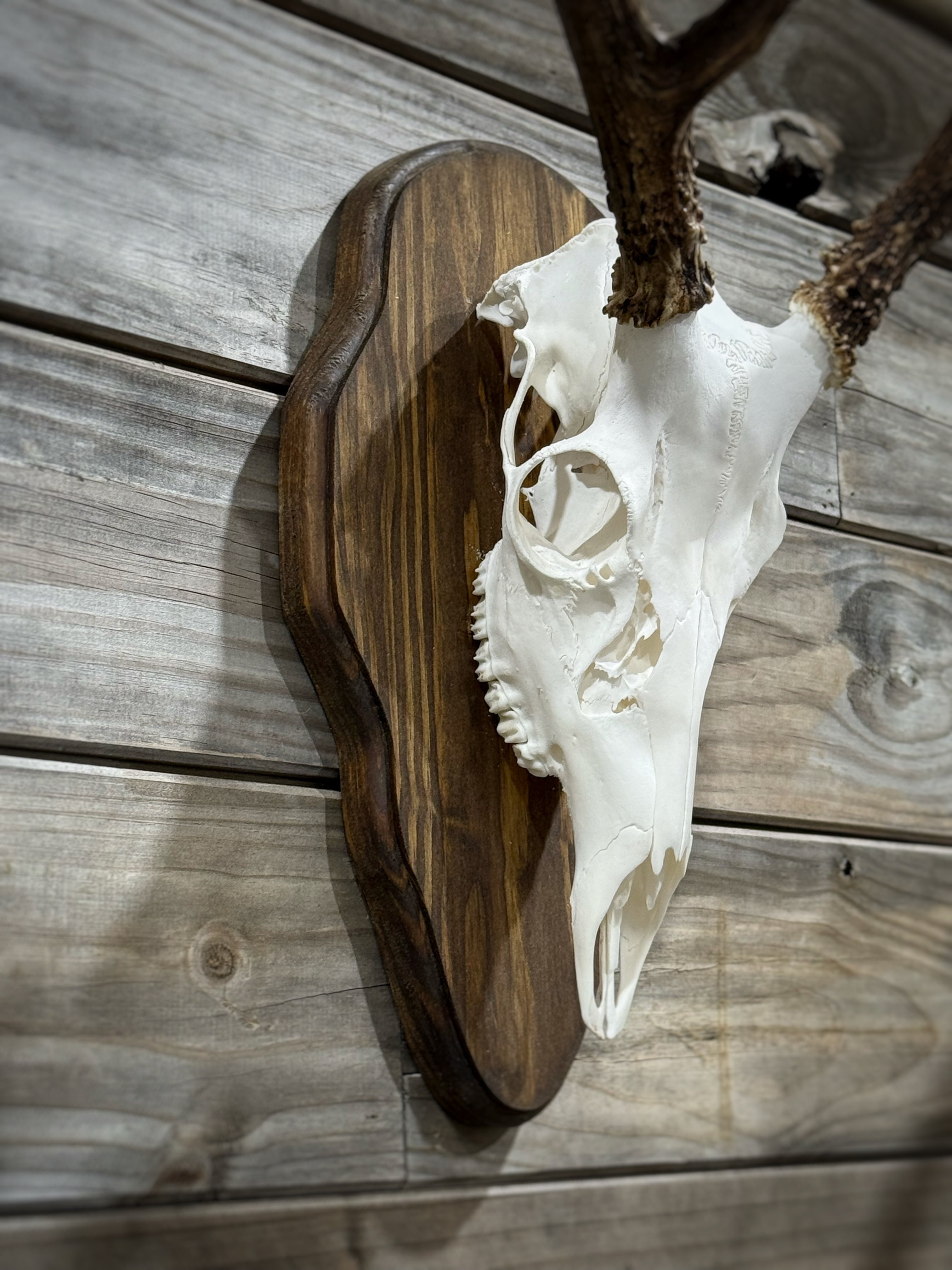 Barnwood European Plaque (Burnt Edges) (Rounded)