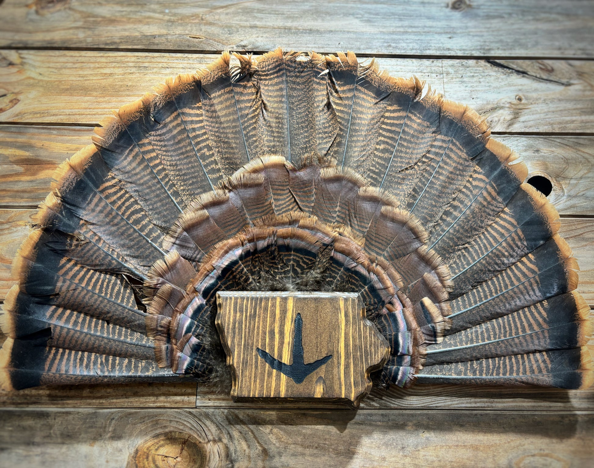 Iowa Turkey Plaque