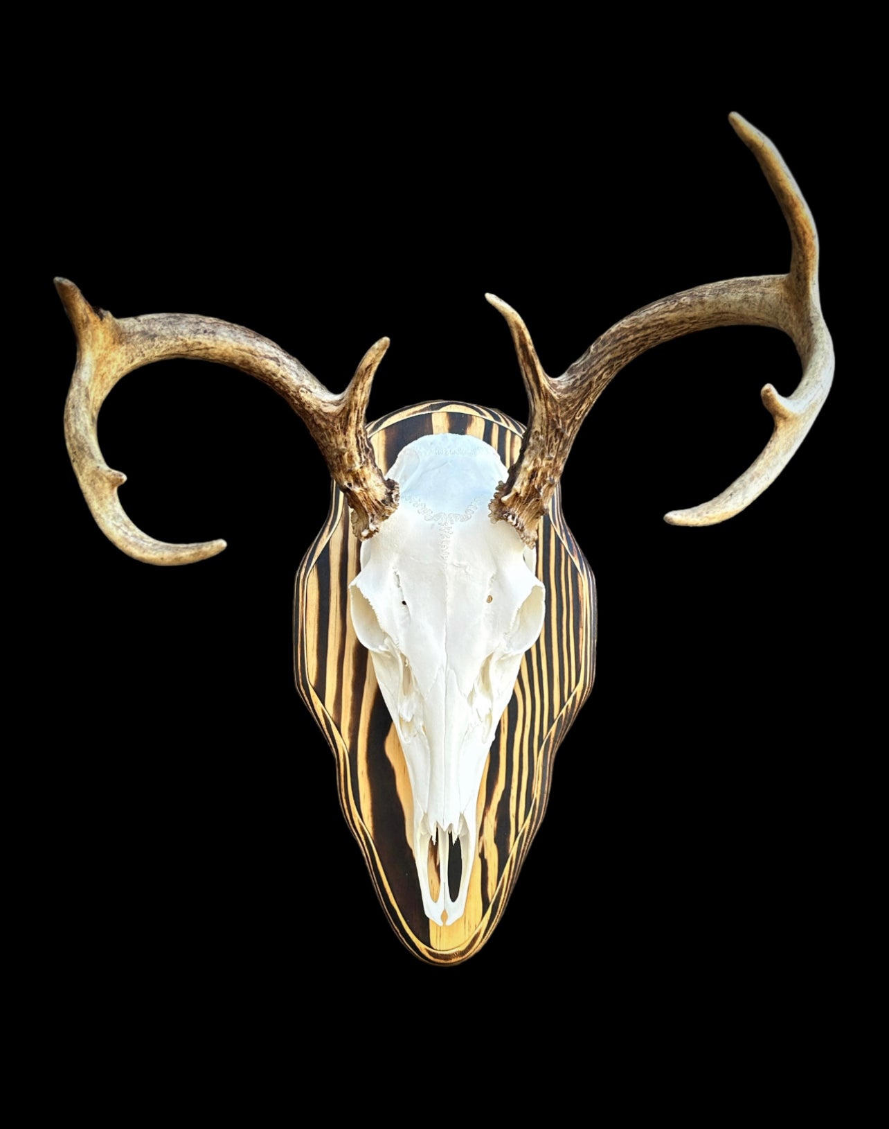 Barnwood European Plaque (Burnt Edges) (Rounded)