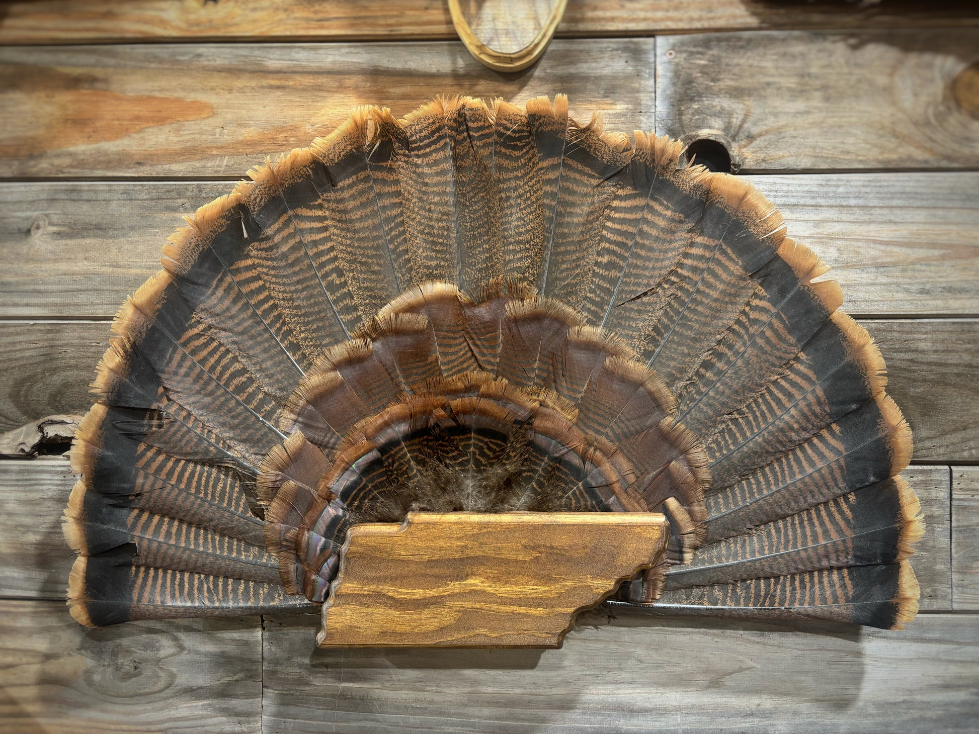 Tennessee Turkey Plaque