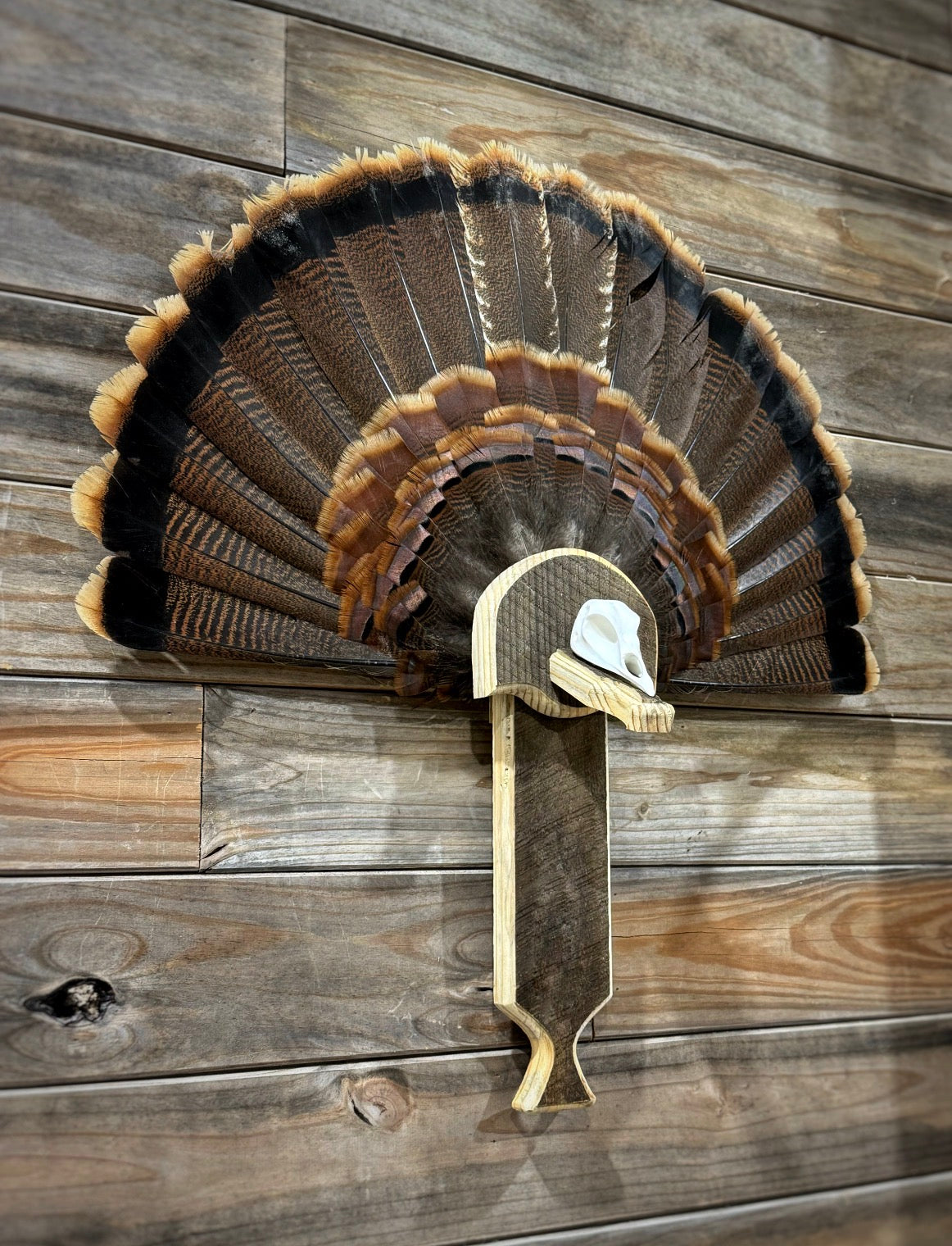 Turkey Fan Plaque Box Call