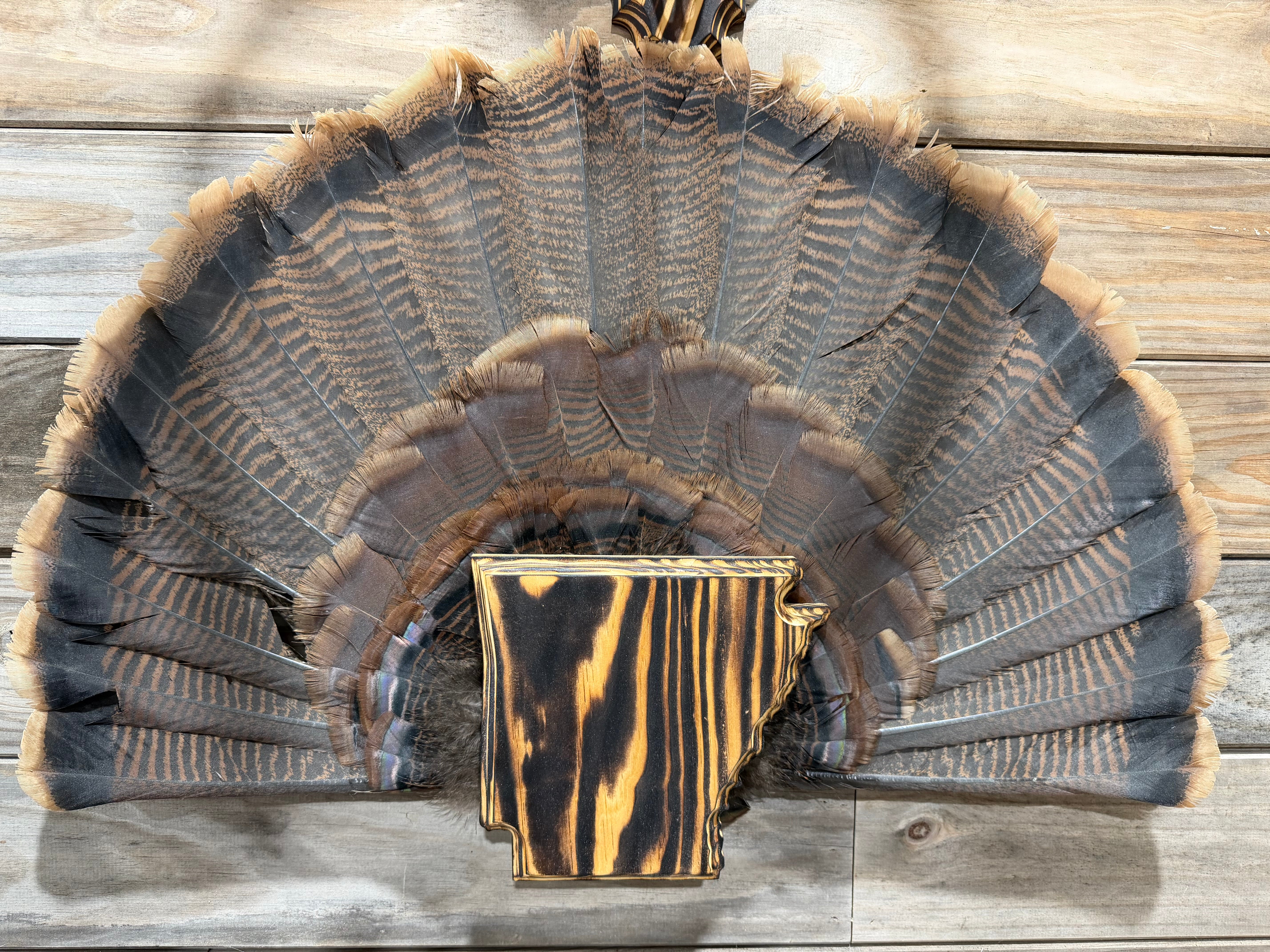 Arkansas Turkey Fan Plaque
