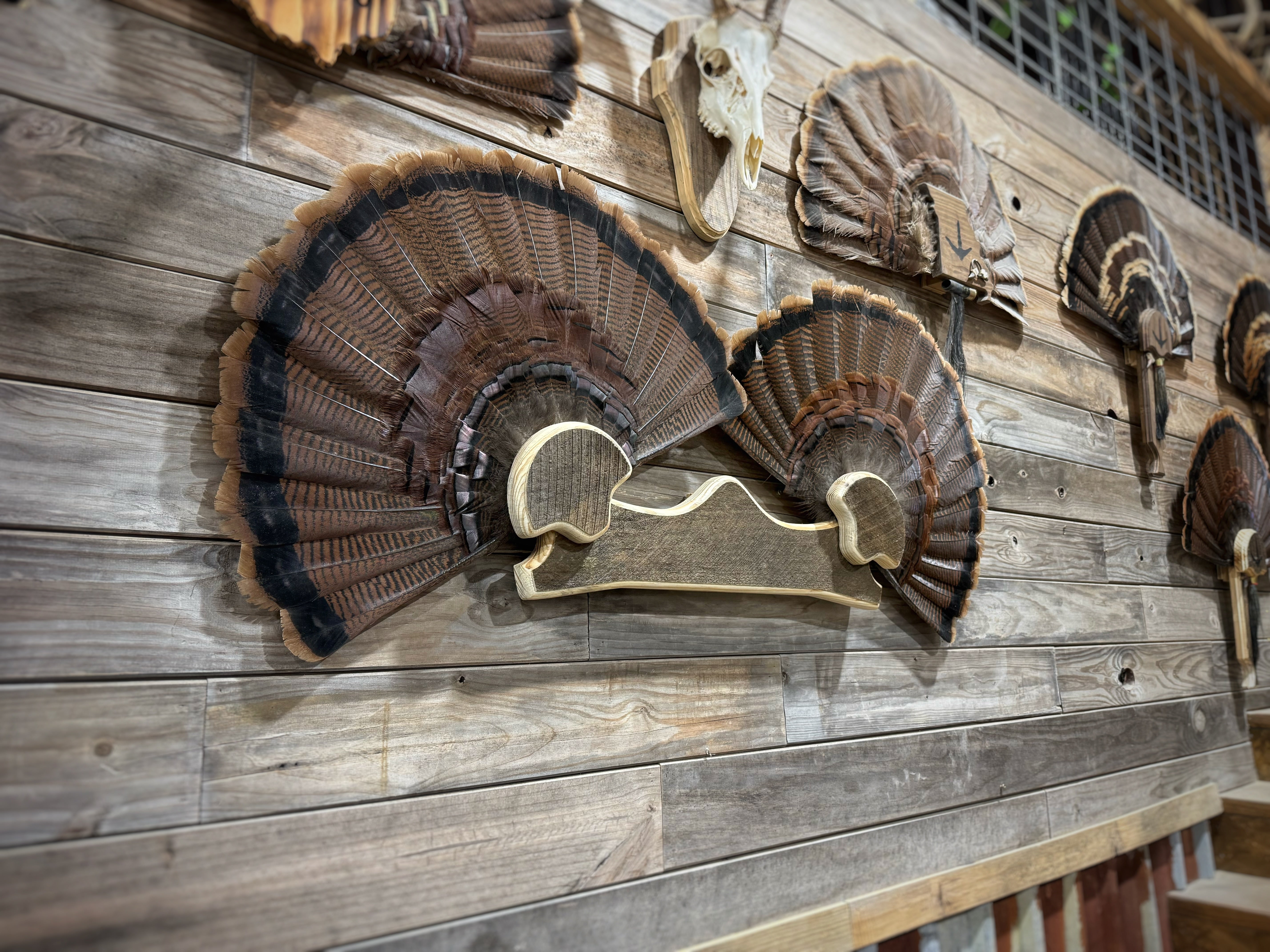 Double Fan Mount (w. Shelf & 7 beard/spur hooks)