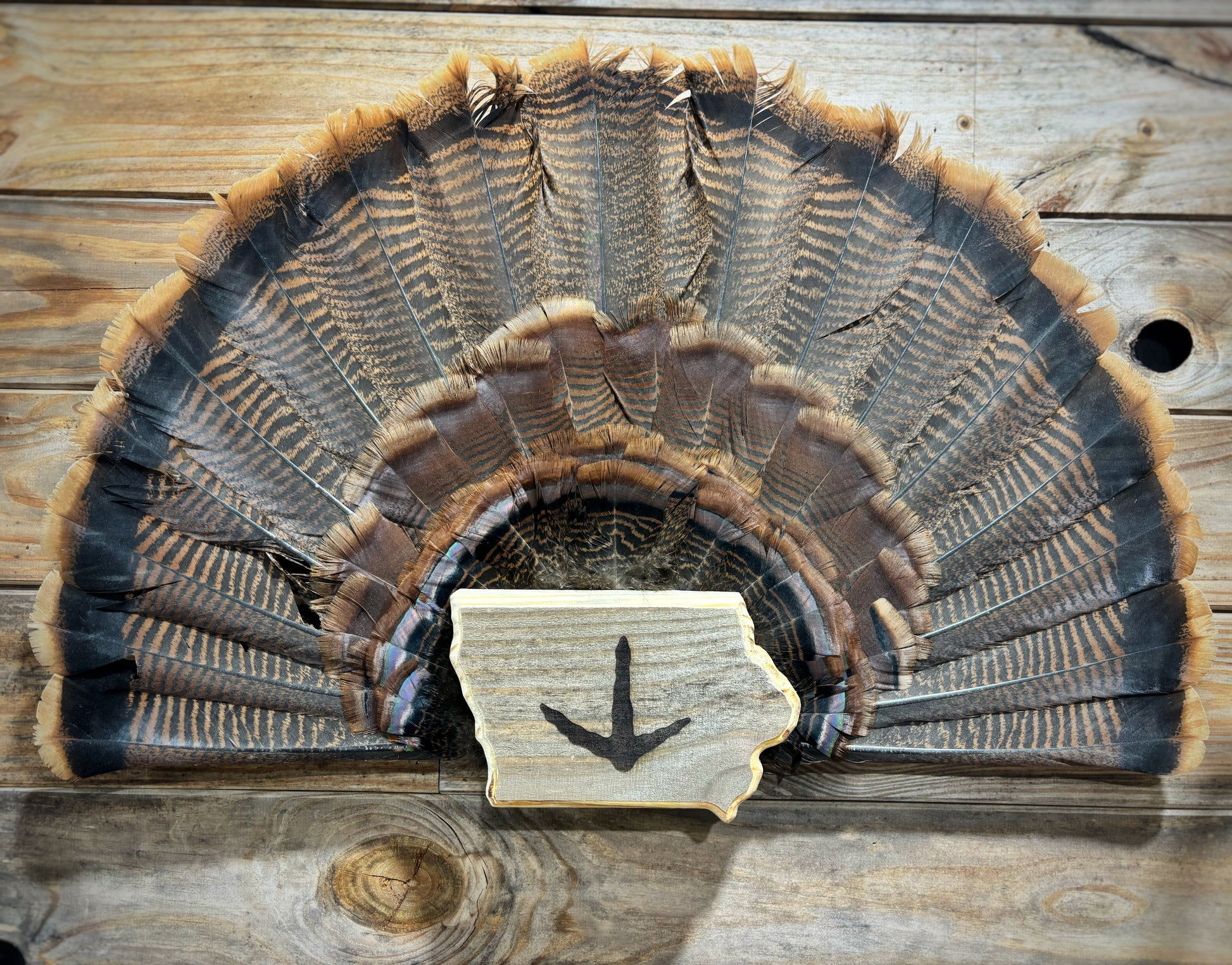 Iowa Turkey Plaque