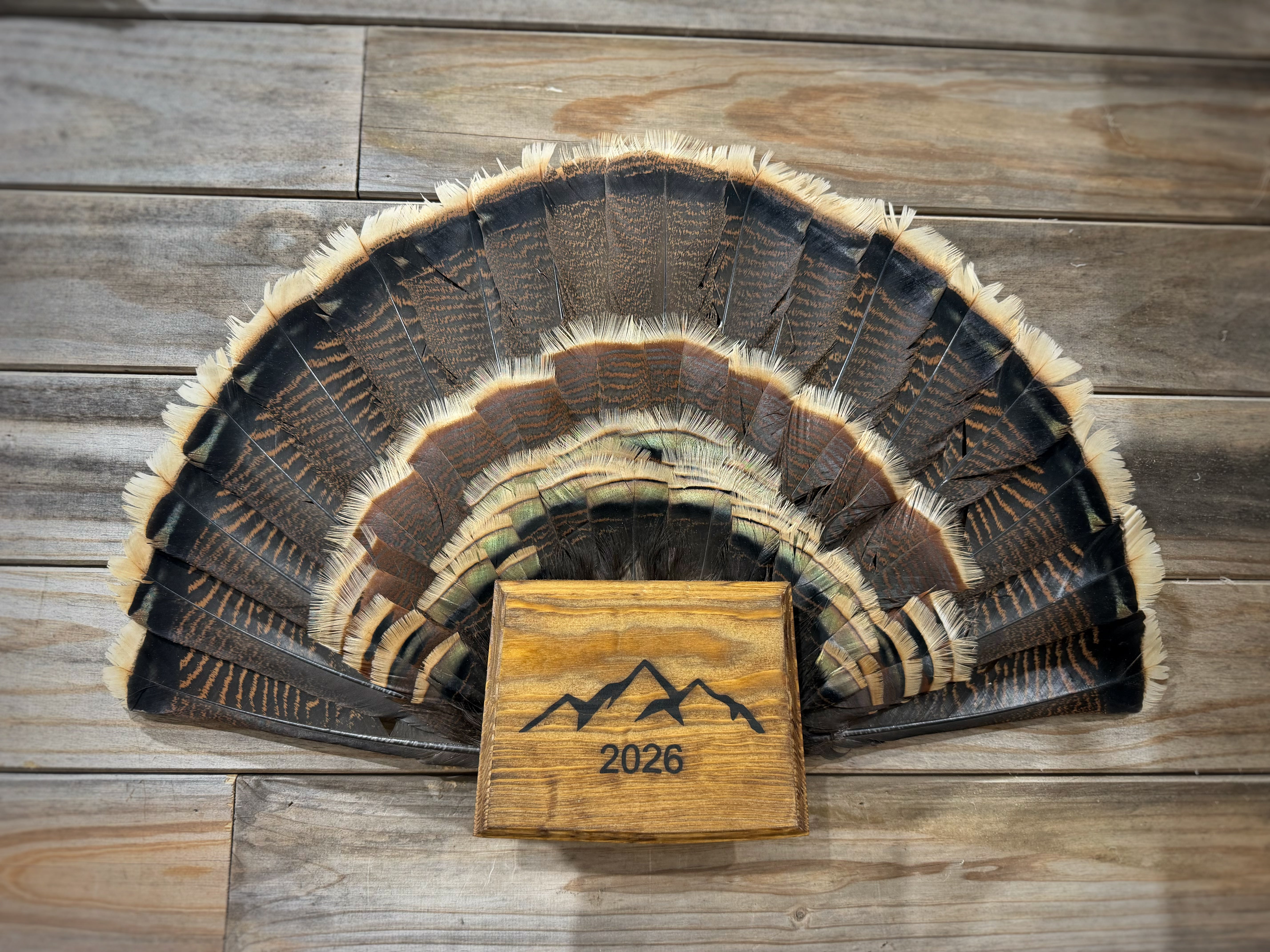 Colorado Turkey Fan Plaque