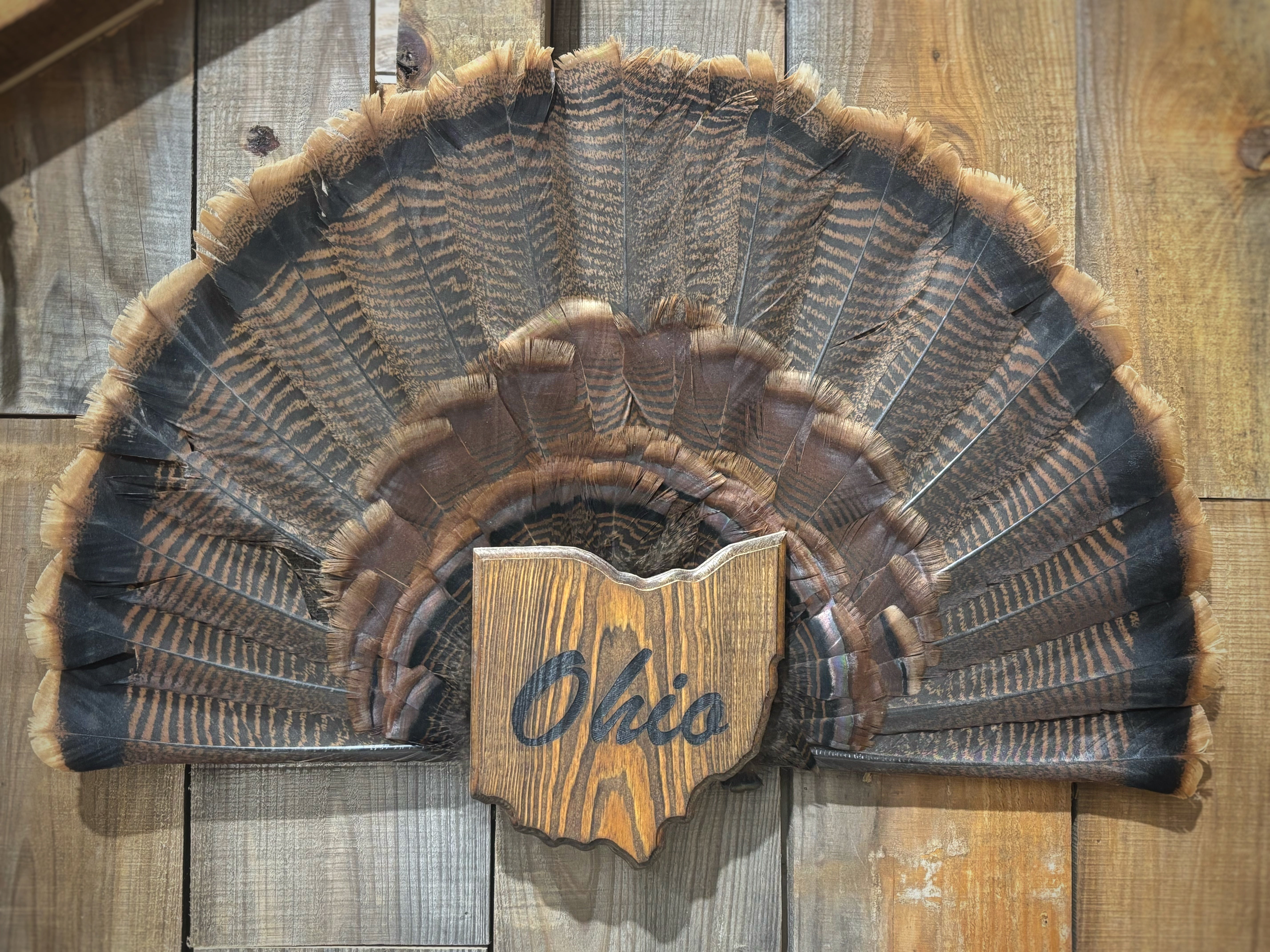 Ohio Turkey Fan Plaque
