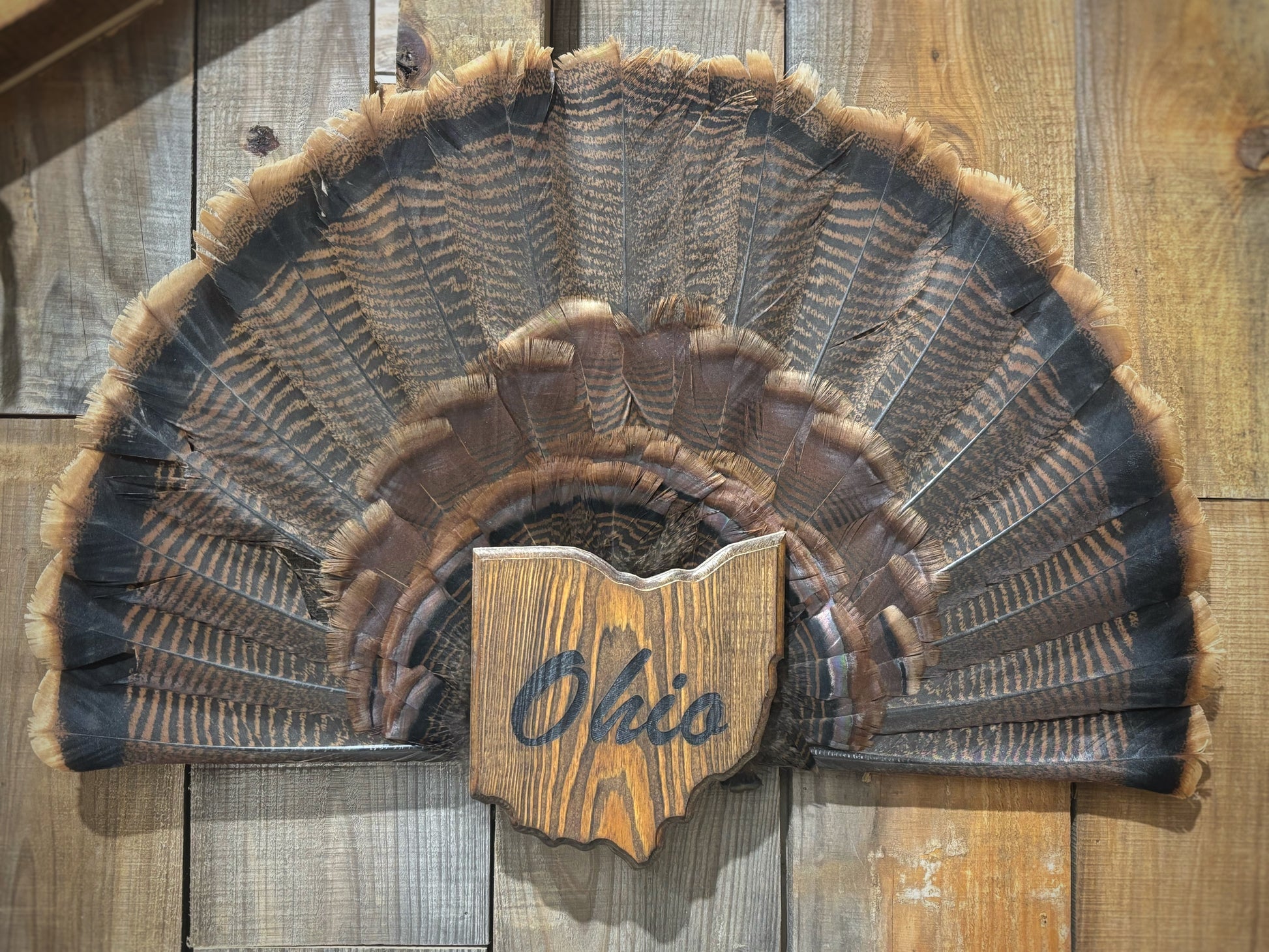 Ohio Turkey Fan Plaque