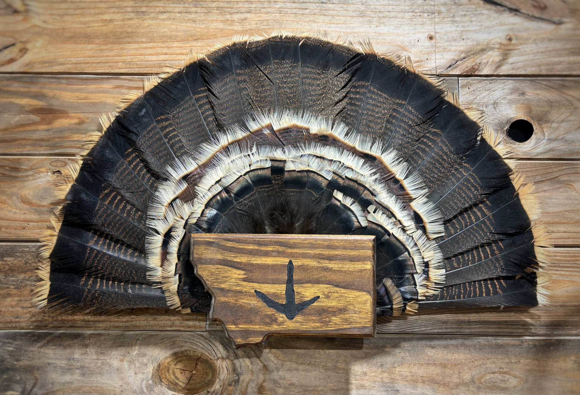 Montana Turkey Fan Plaque