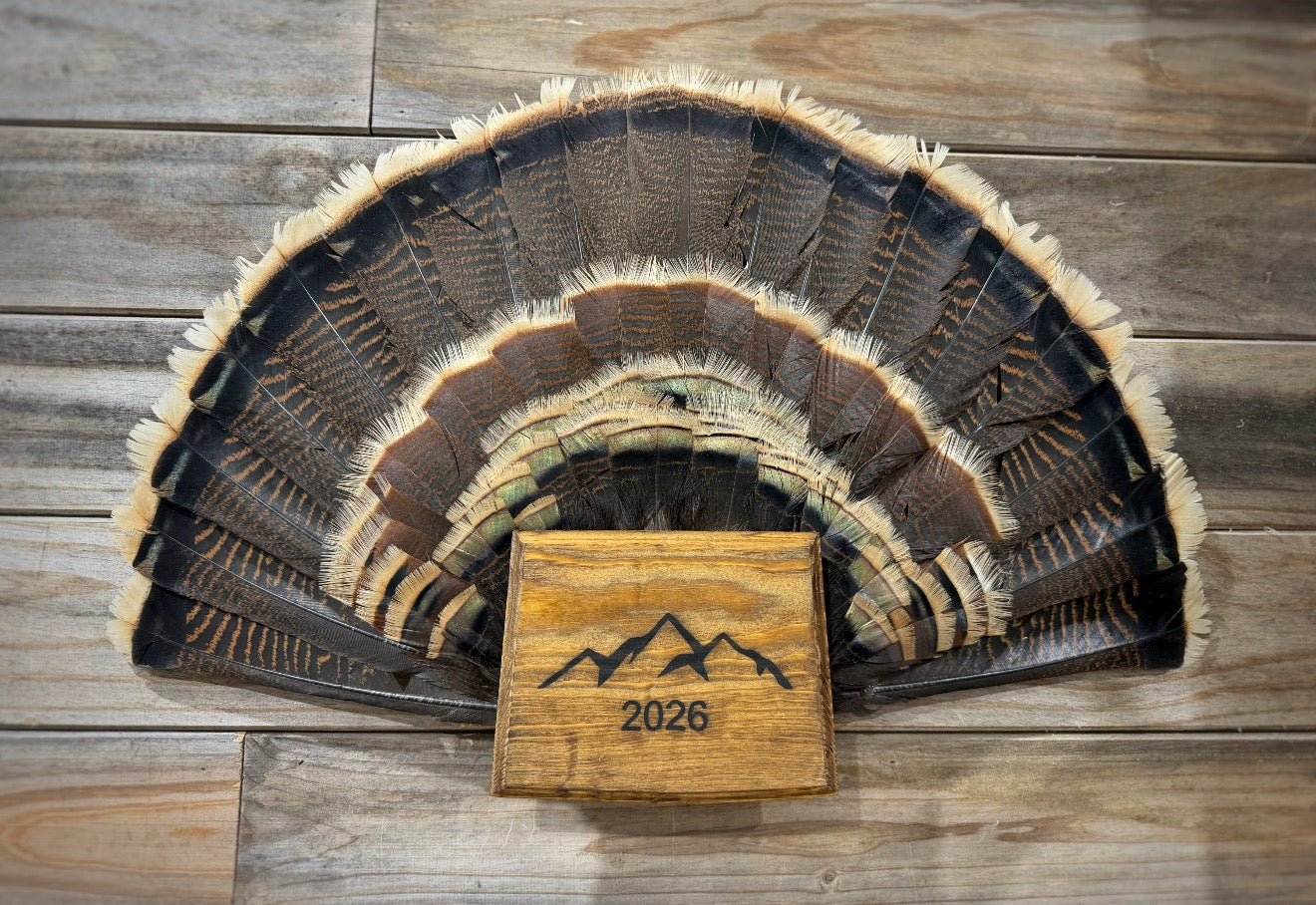 Colorado Turkey Fan Plaque