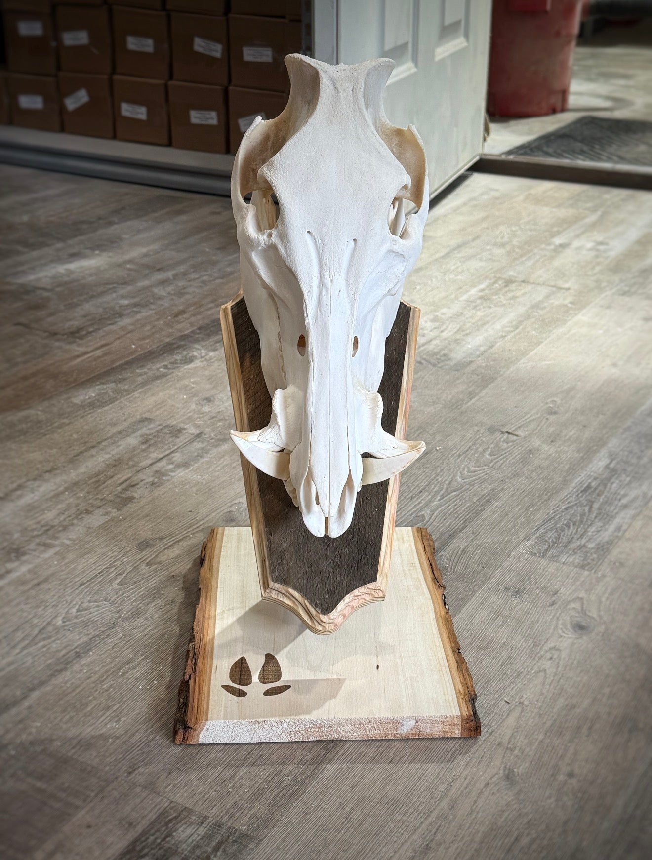 Hog Tabletop Top
