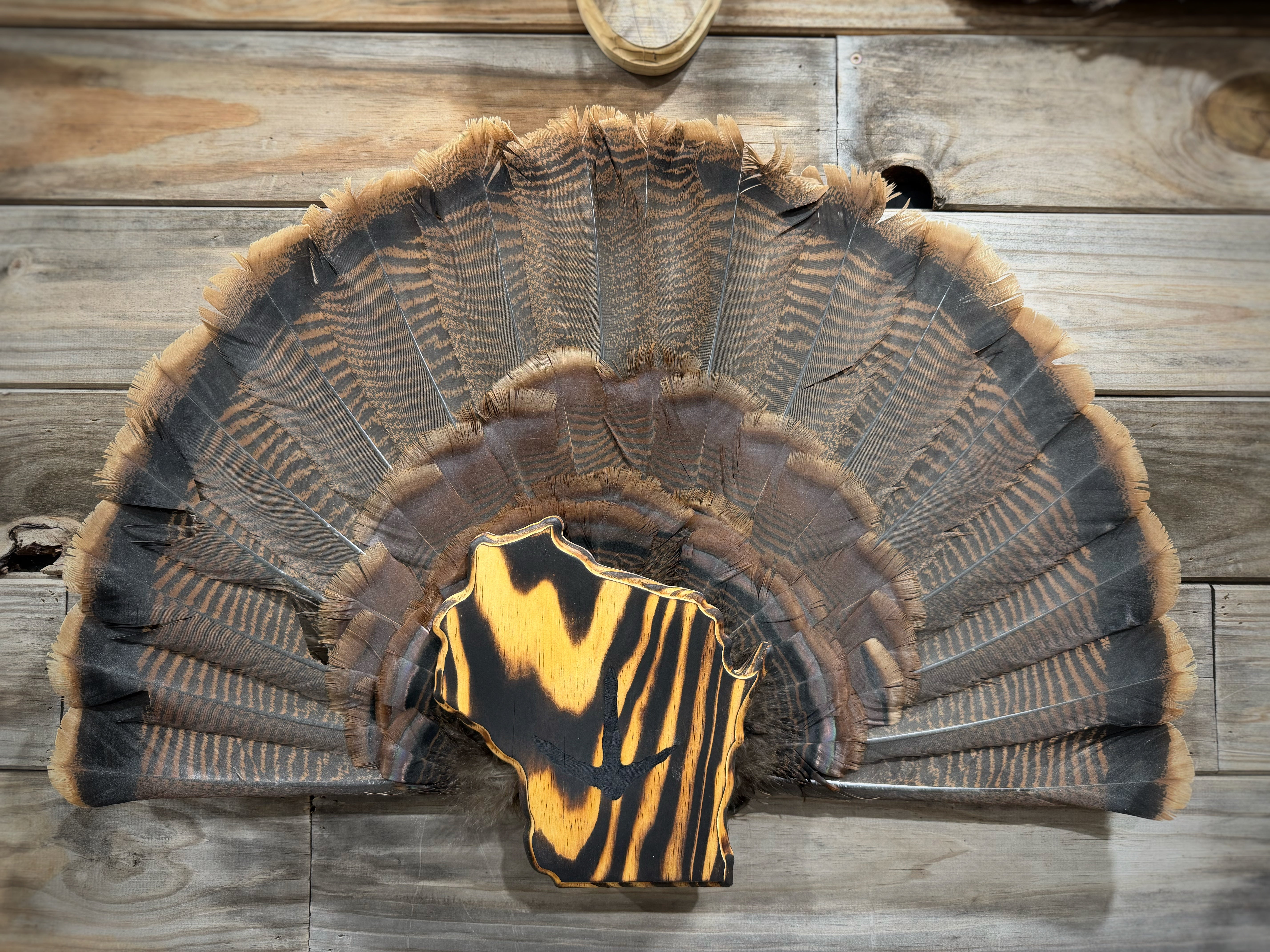 Wisconsin Turkey Fan Plaque