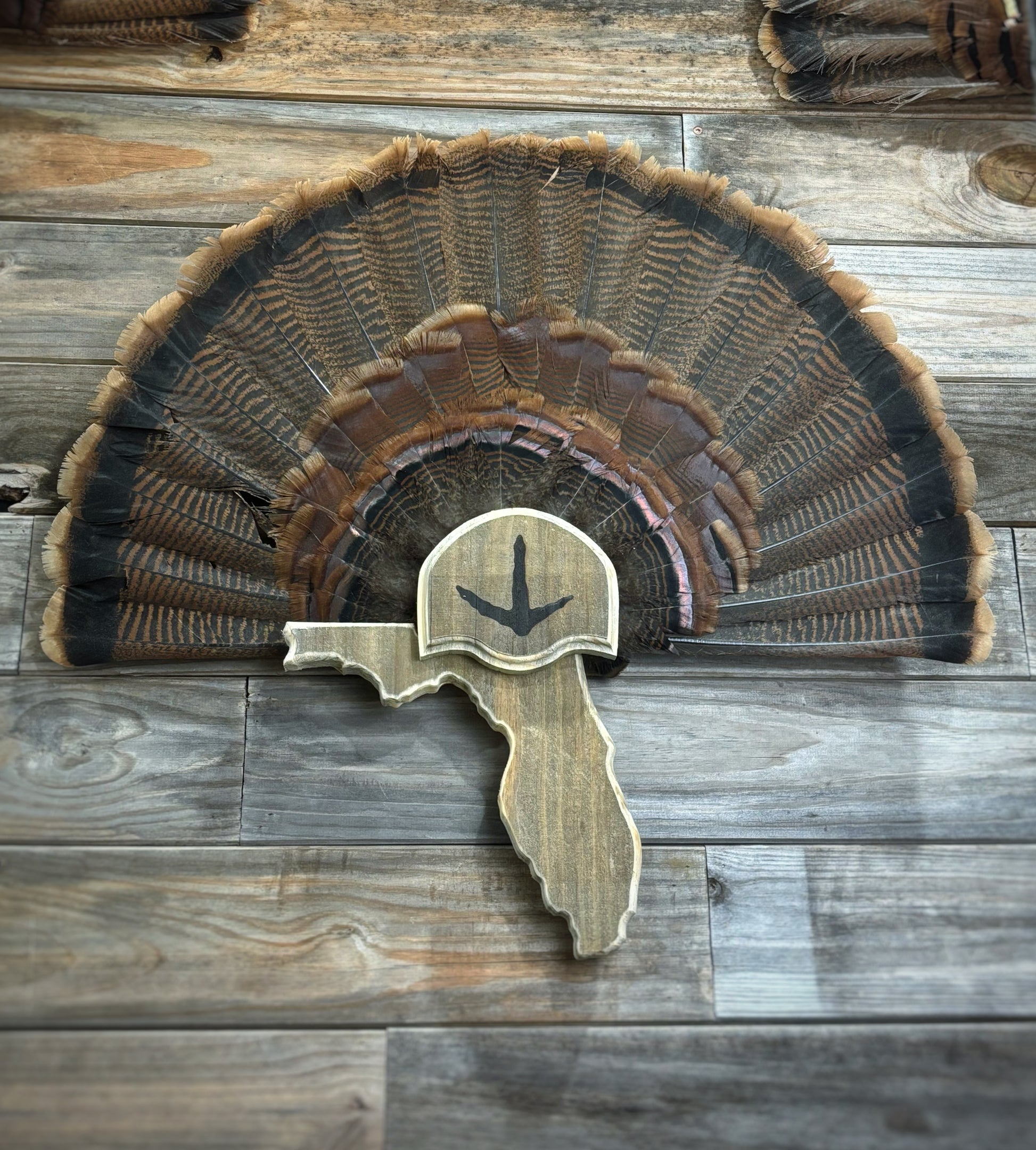 Florida Turkey Fan Plaque