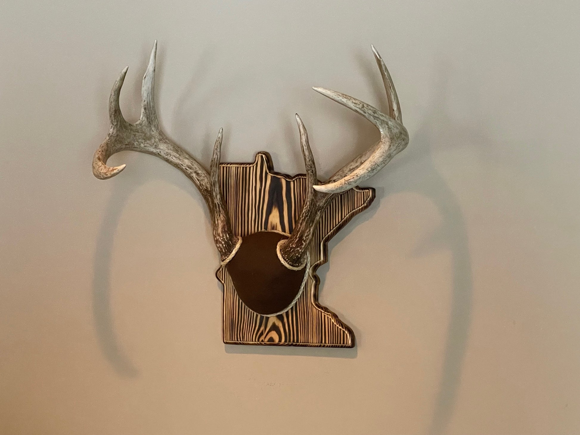 Arkansas Antler Mount Kit (Instructional Video) (All States Available)