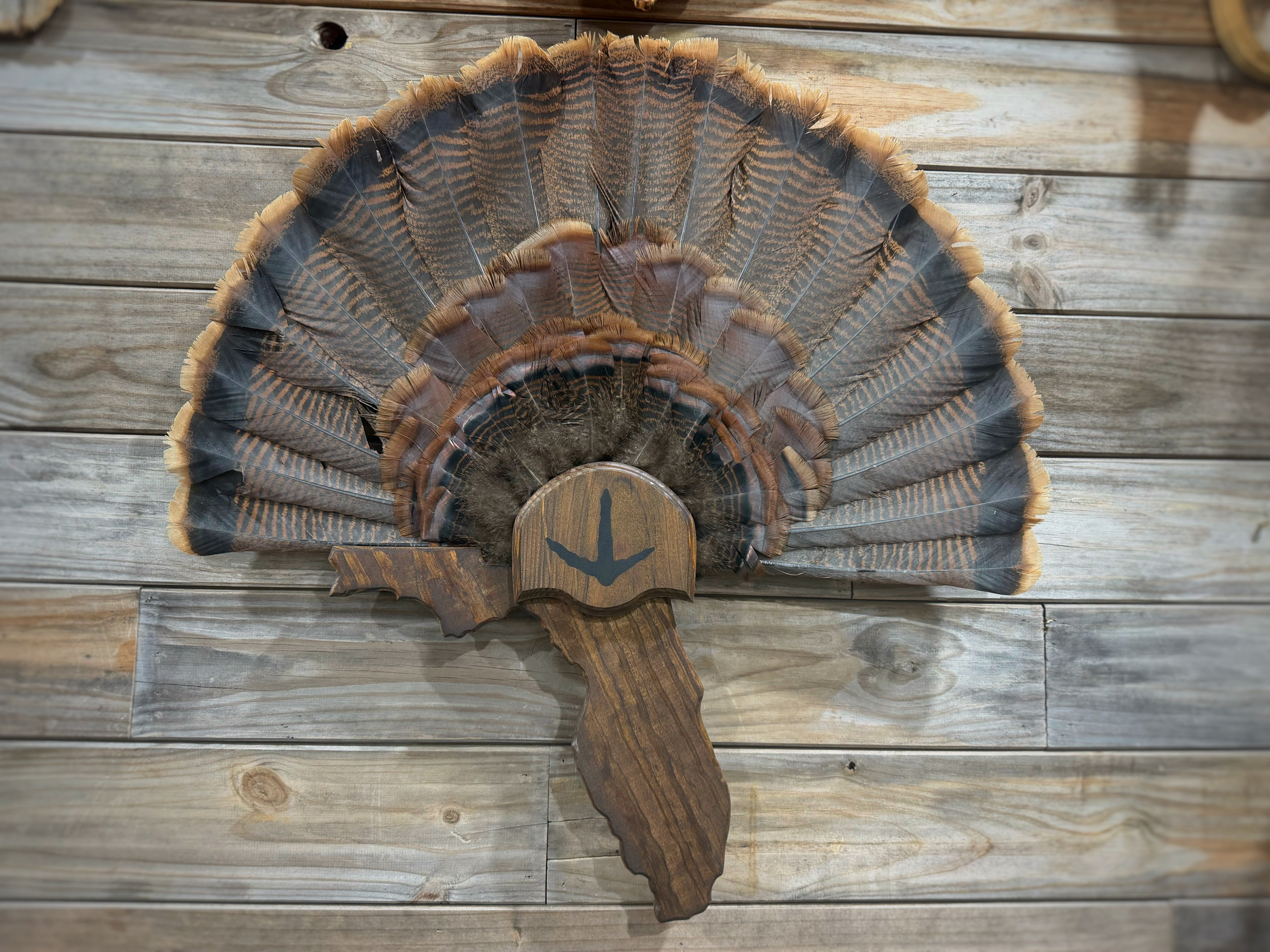 Florida Turkey Fan Plaque