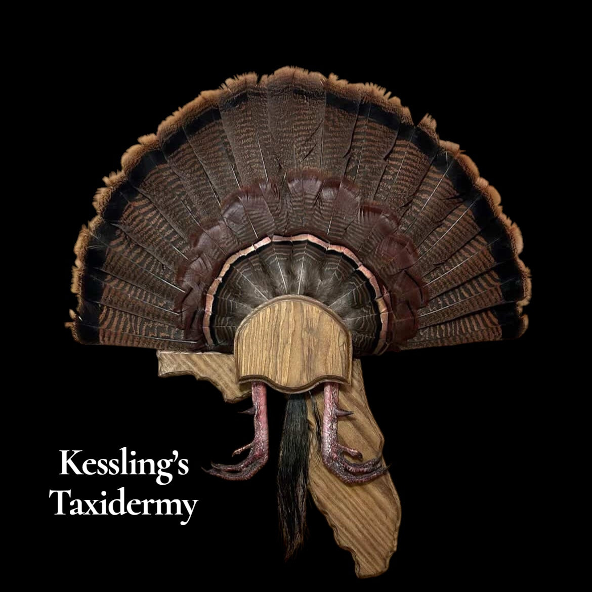 Florida Turkey Fan Plaque