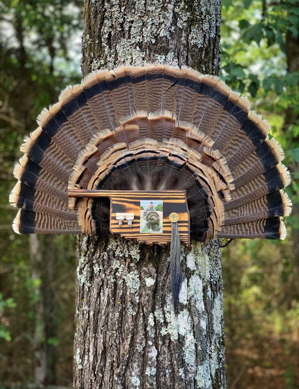 Oklahoma Turkey Fan Plaque