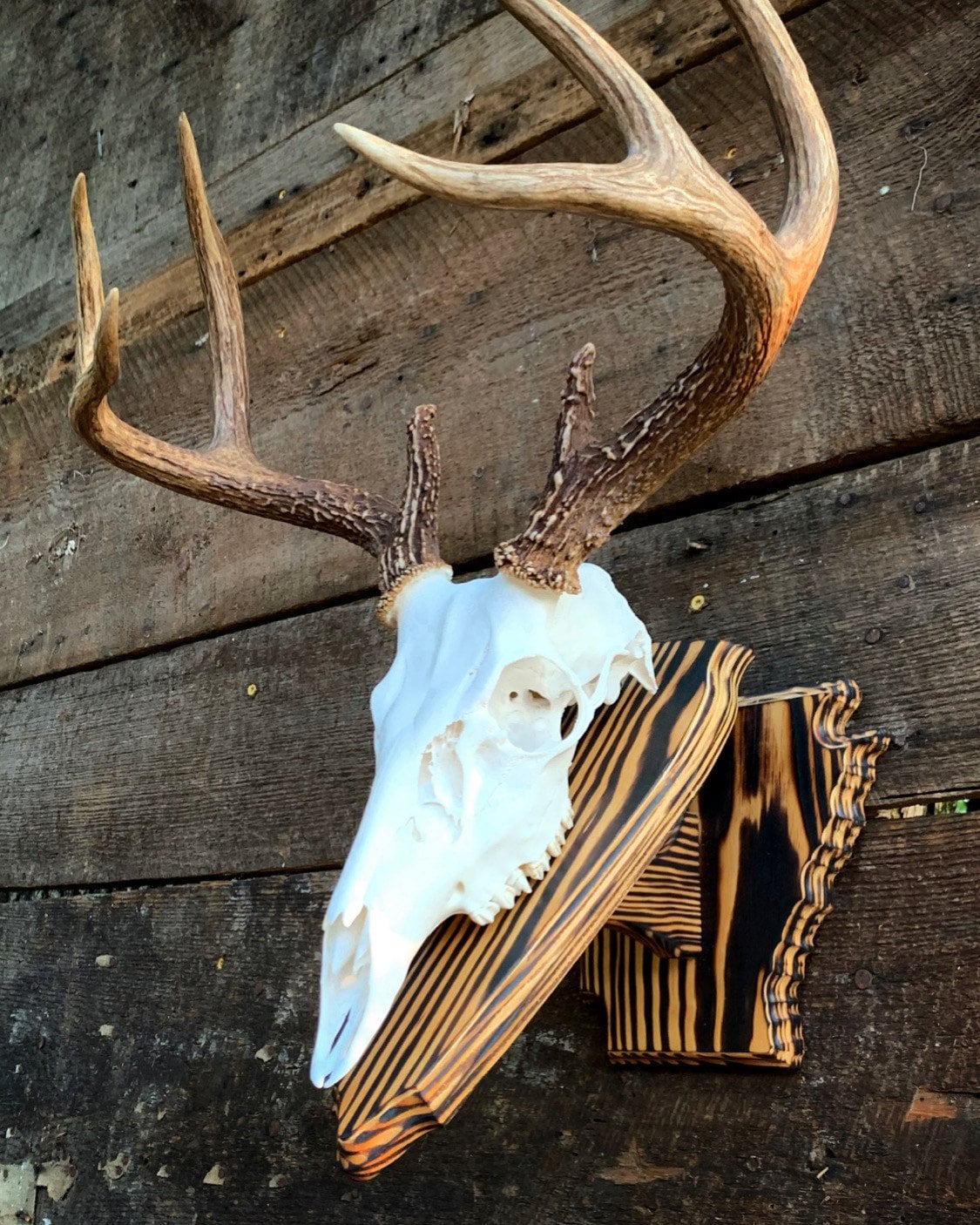 Hand Made Deer European Skull Mount Wall Pedestal Barn wood Hand Hand Made Deer European Skull Mount Wall Pedestal Barn wood Hand