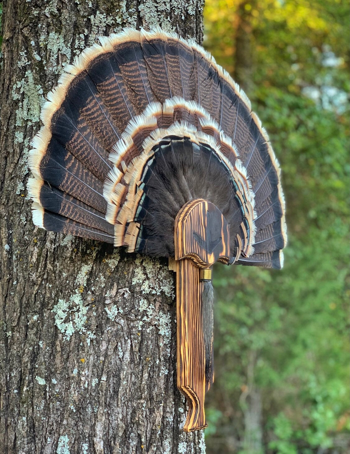 Turkey Fan Plaque (Box Call) (Burnt Finish)
