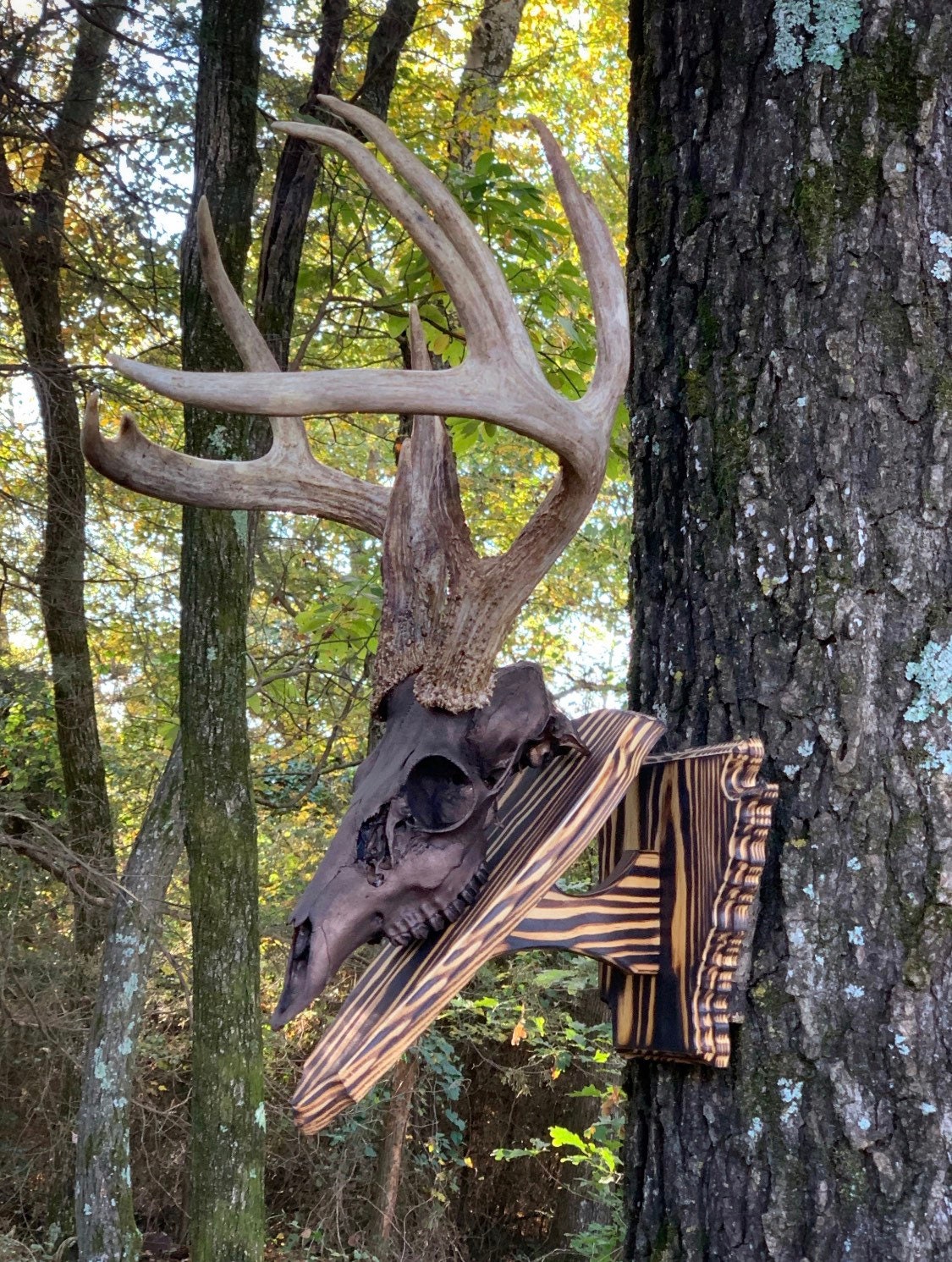 Arkansas Wall Pedestal