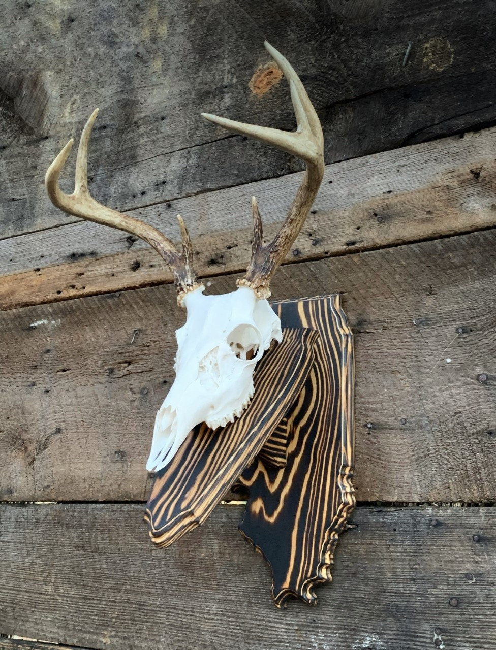 Illinois Wall Pedestal