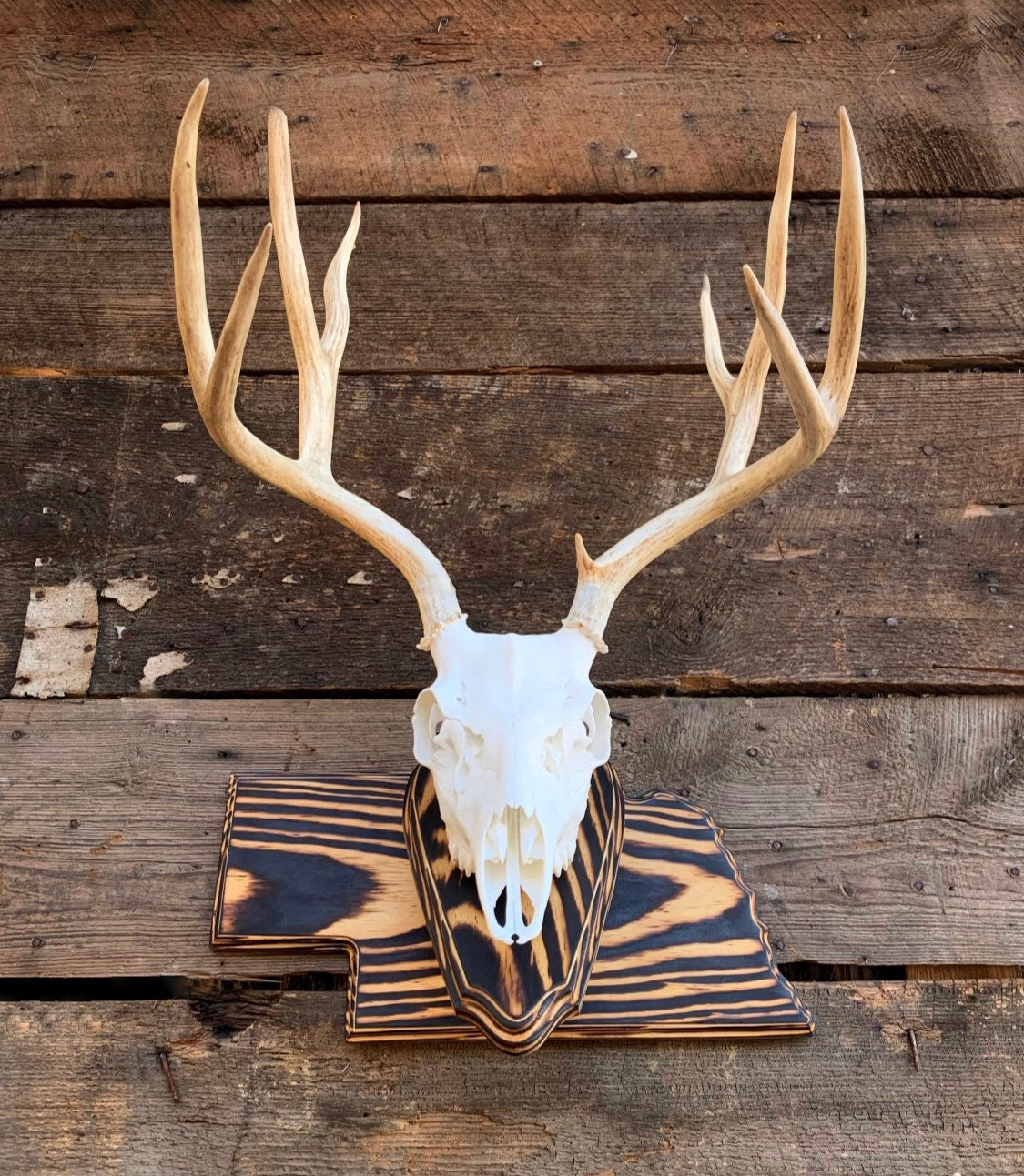 Nebraska Pedestal Plaque