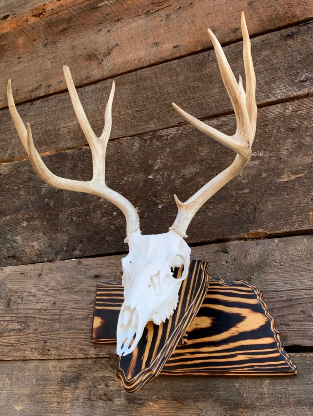 Nebraska Pedestal Plaque