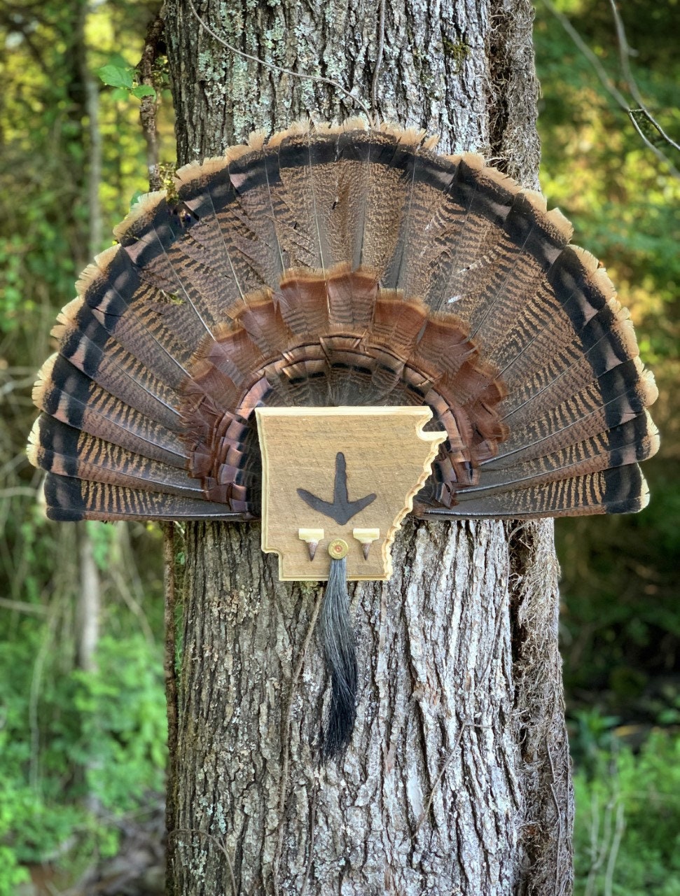 Arkansas Turkey Fan Plaque
