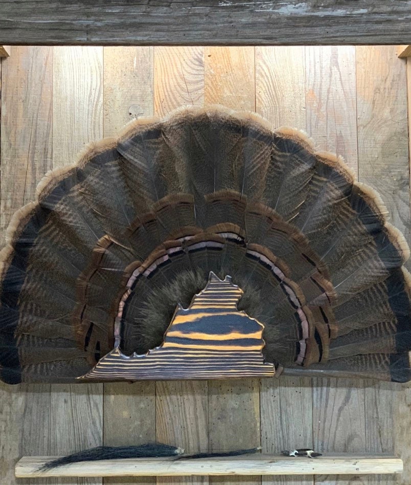 Virginia Turkey Fan Plaque