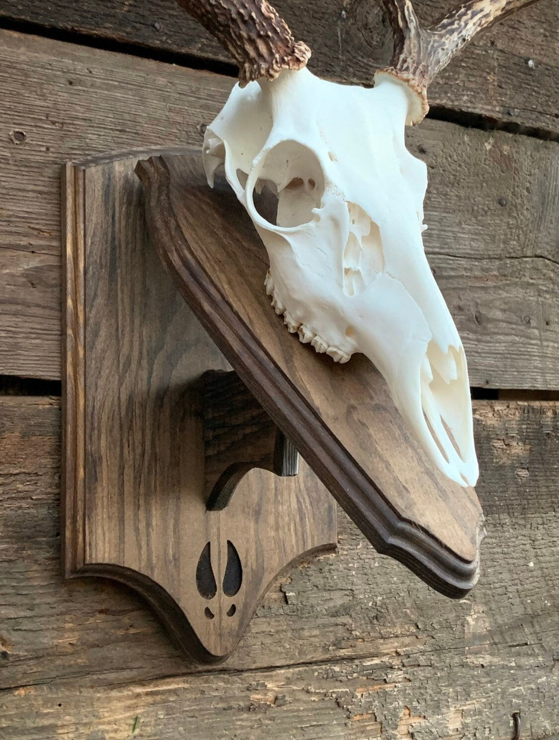 Euro Mount Pedestal