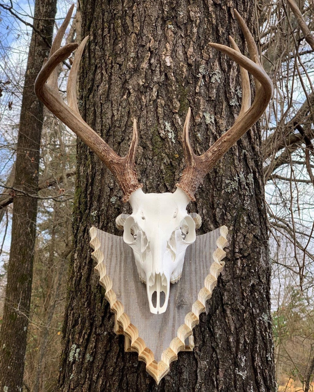 Arrowhead Pedestal (AR Back Plate) (Stained)